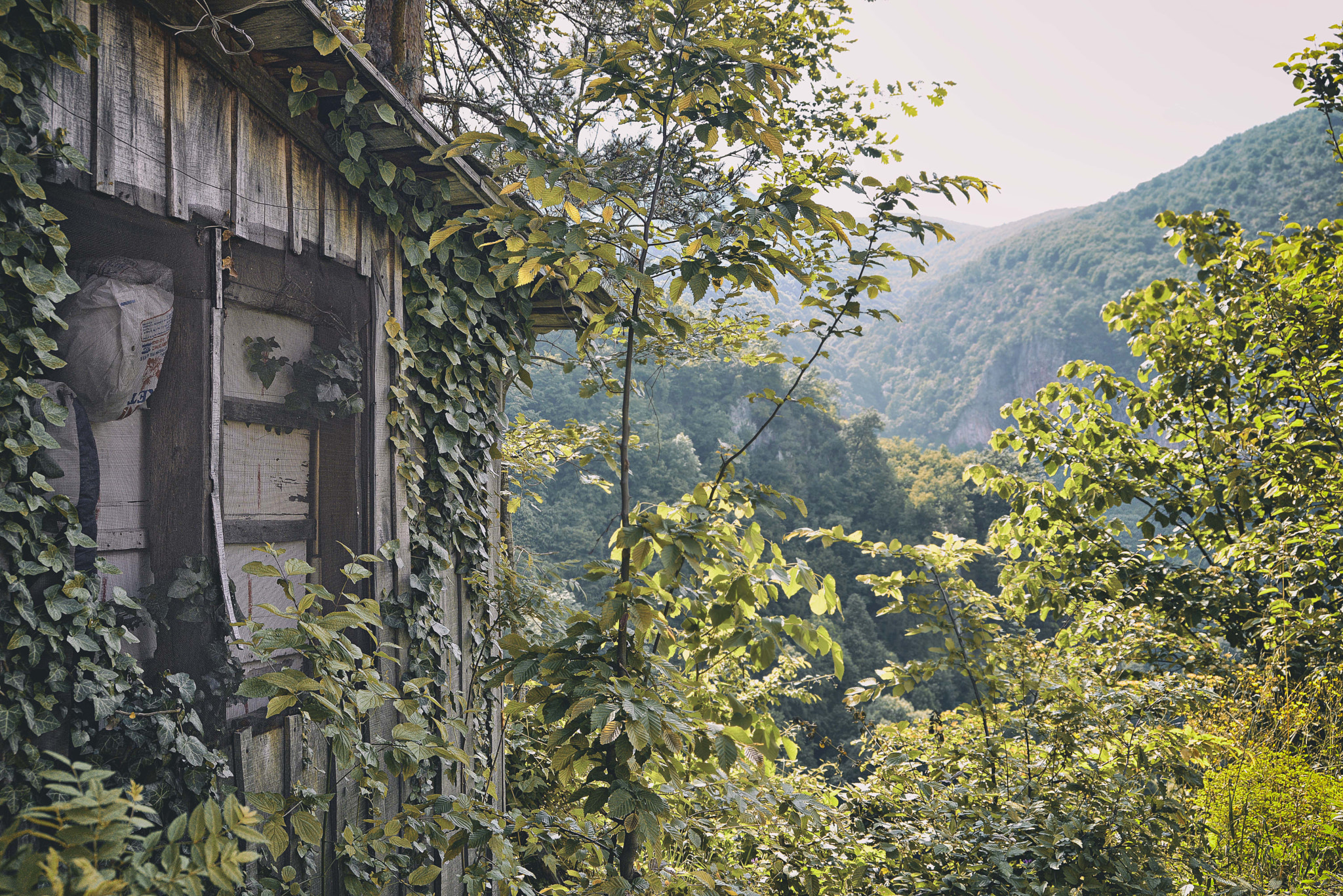 Nikon D600 sample photo. Feel the mountain photography