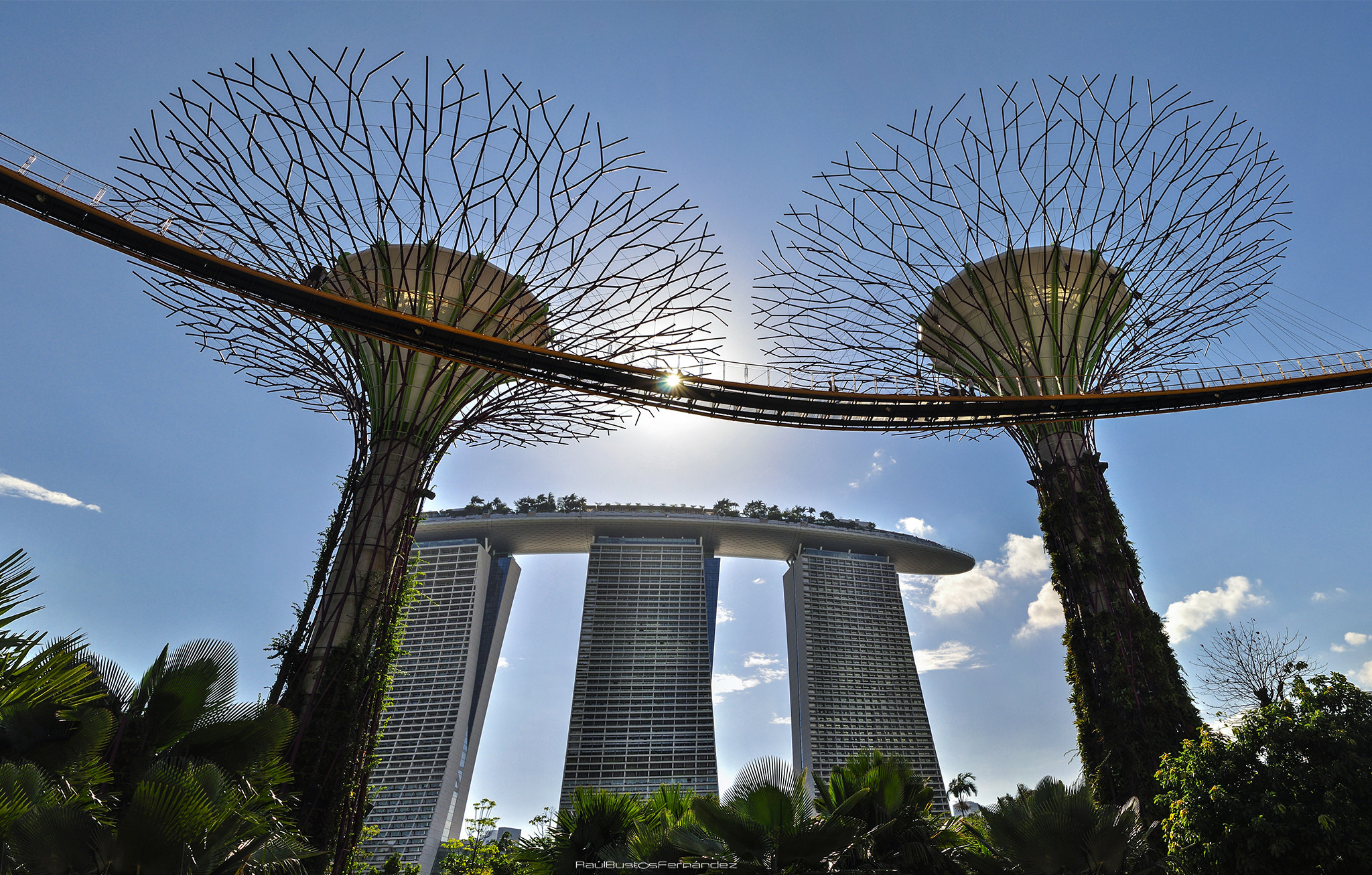 Tamron SP 24-70mm F2.8 Di VC USD sample photo. Marina gardens by the bay photography