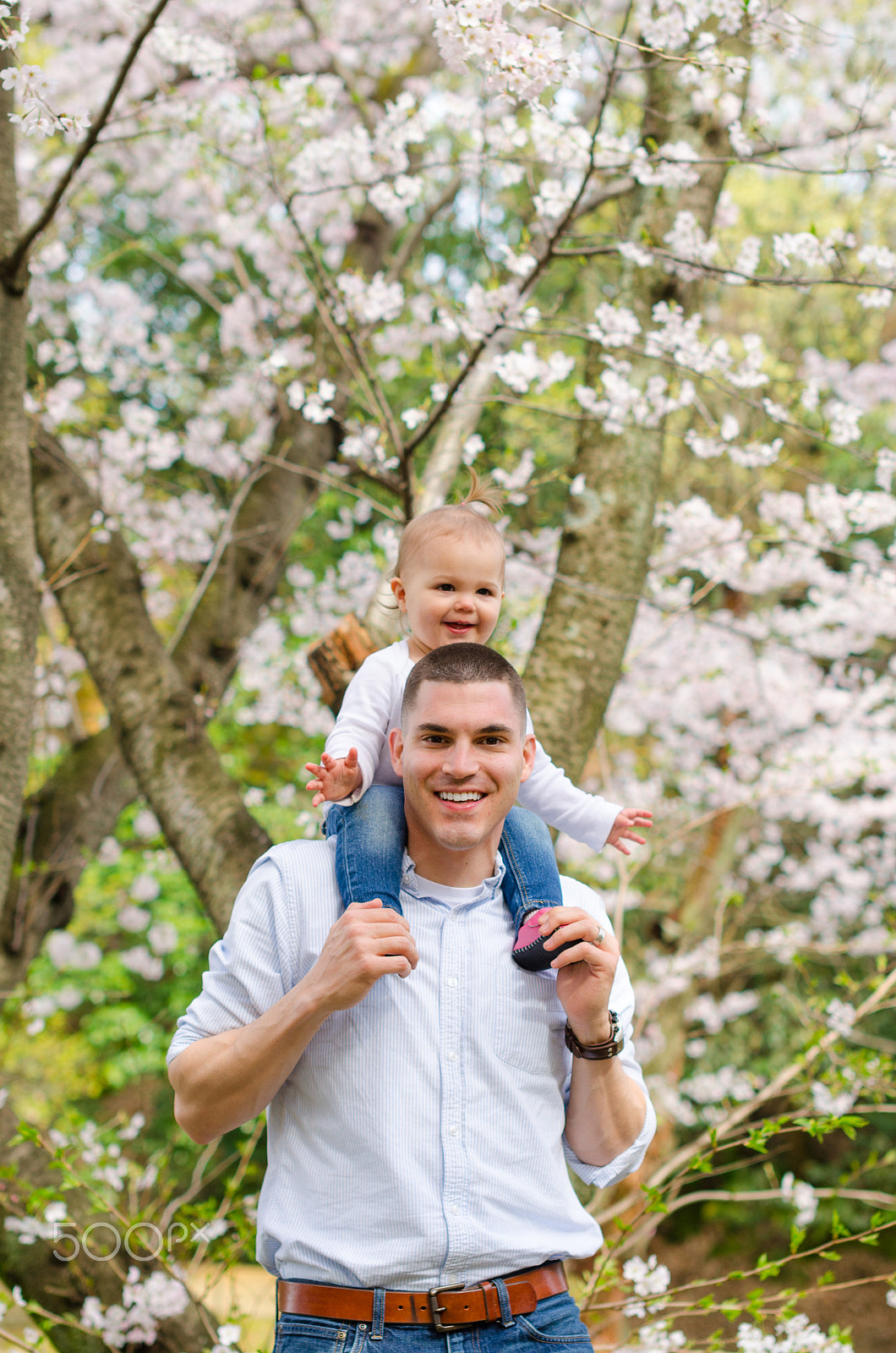 Nikon D5100 + Sigma 50mm F1.4 EX DG HSM sample photo. Cherry blossoms park photography