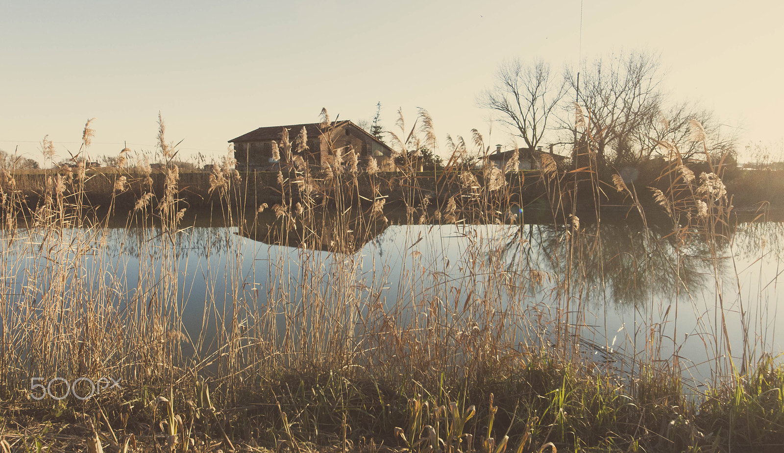 Sigma 8-16mm F4.5-5.6 DC HSM sample photo. Through the river banks photography