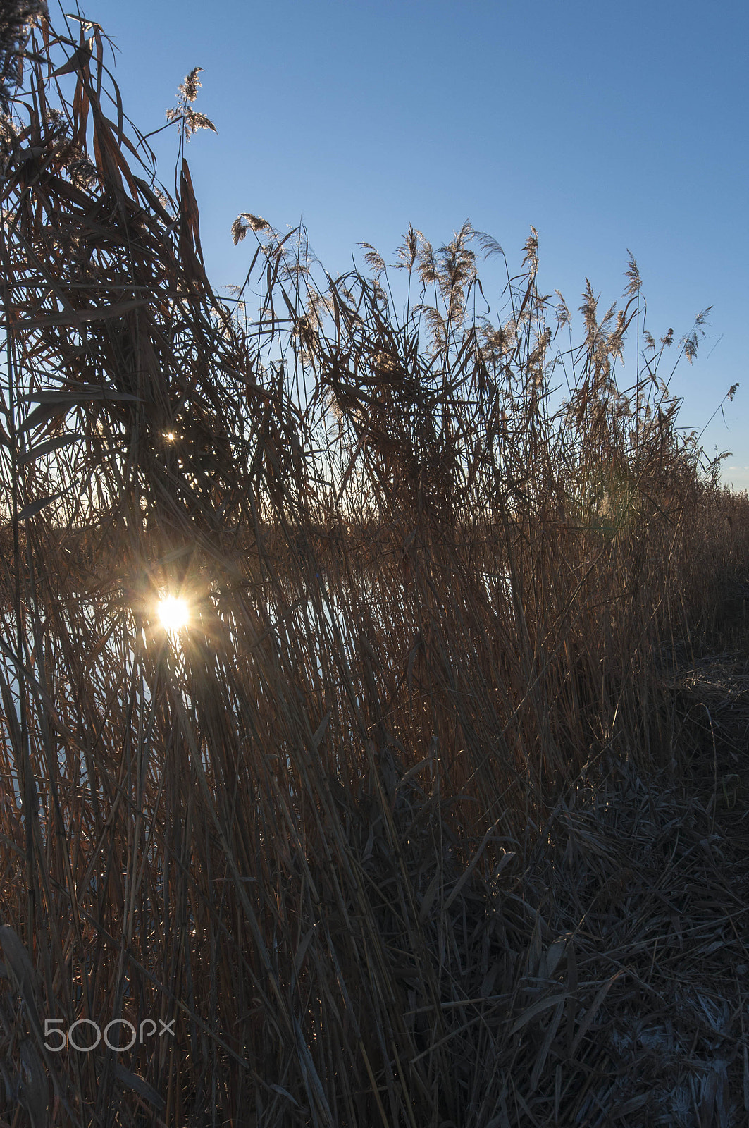 Sigma 8-16mm F4.5-5.6 DC HSM sample photo. River banks photography