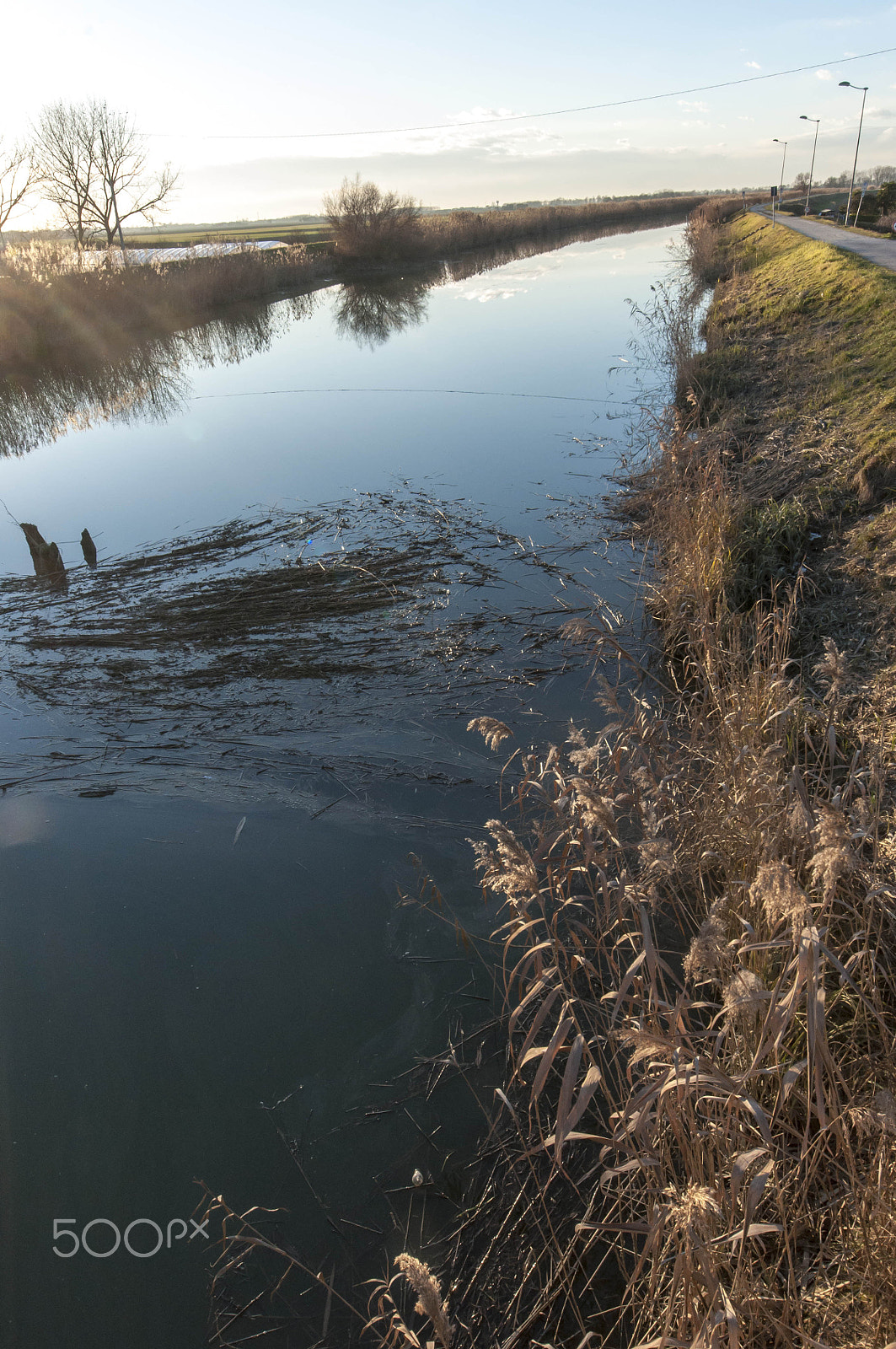 Sigma 8-16mm F4.5-5.6 DC HSM sample photo. River banks photography