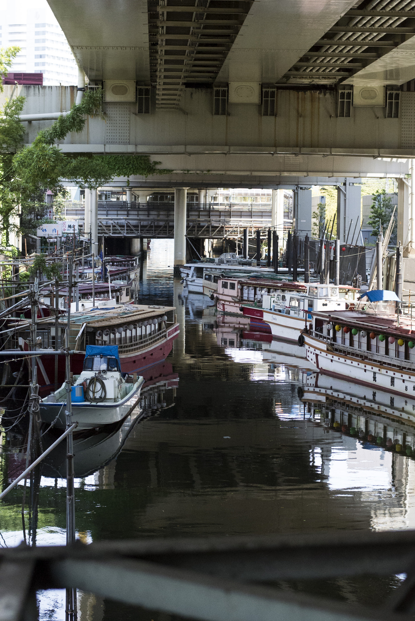 Nikon 1 Nikkor 32mm F1.2 sample photo. 東京宴景屋形船（準備中） photography