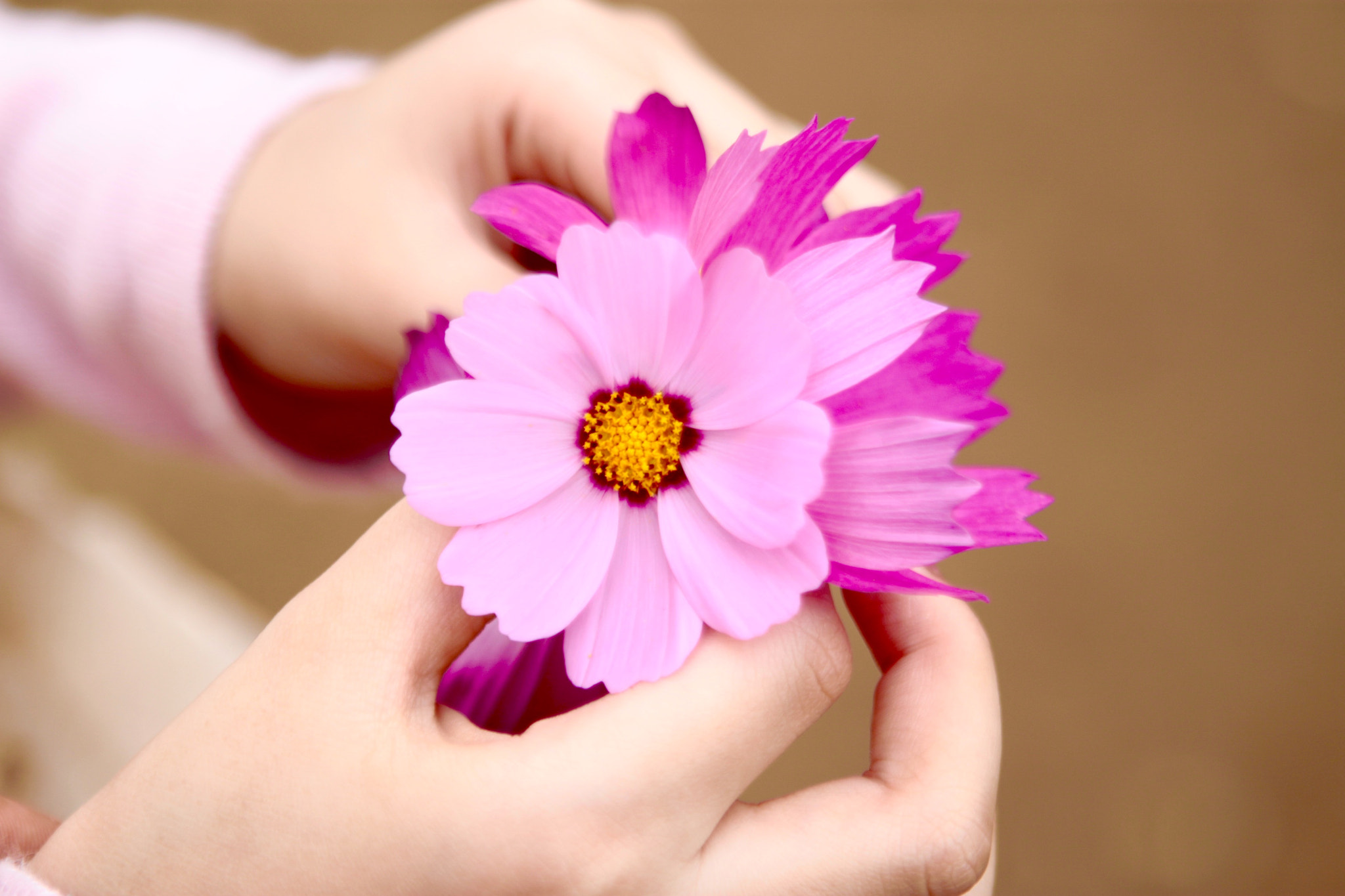 Canon EOS 500D (EOS Rebel T1i / EOS Kiss X3) + Canon EF 24-70mm F2.8L USM sample photo. Dreamy... photography