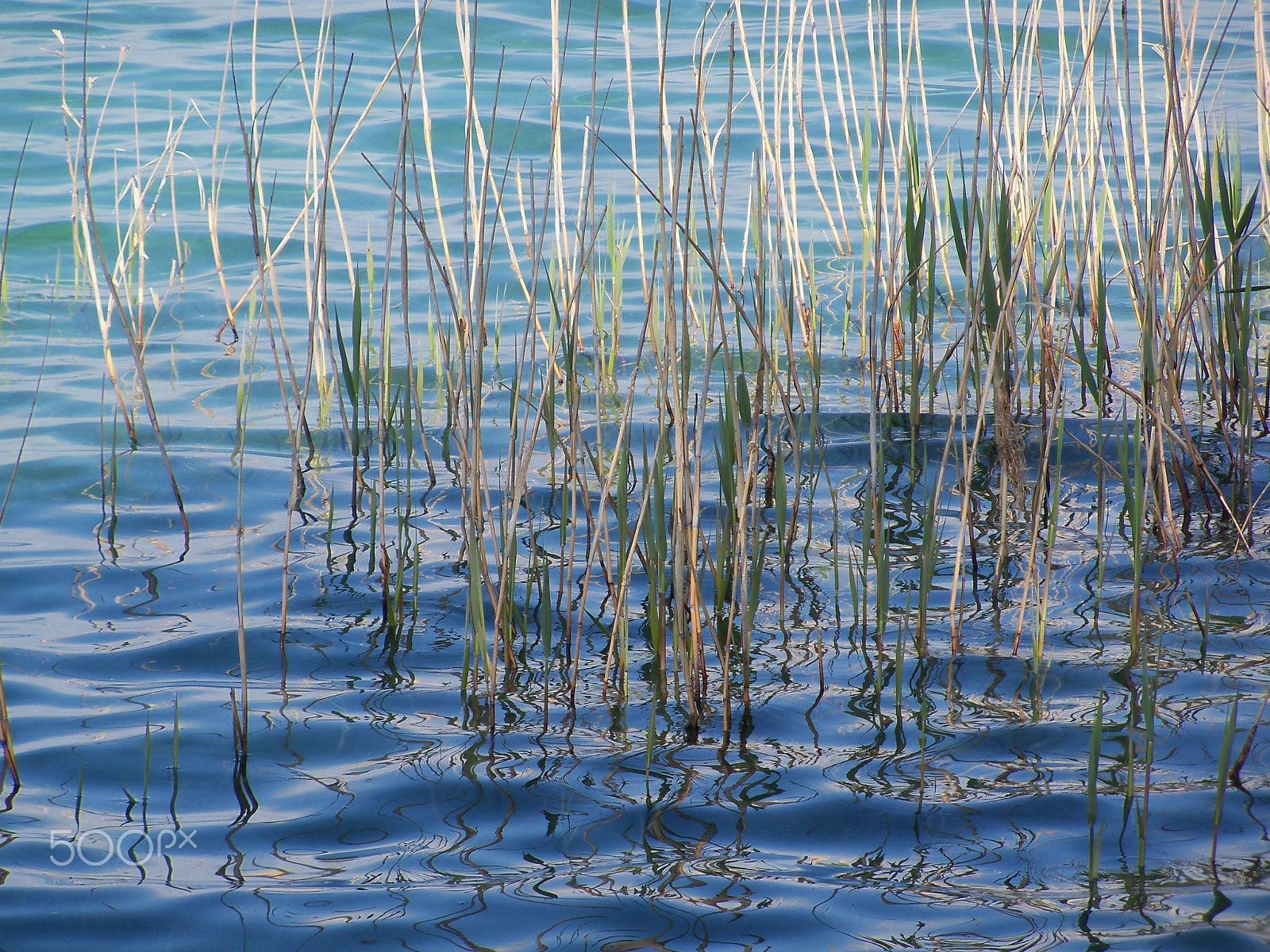 Kodak EasyShare Z915 sample photo. Lake garda 2016 photography