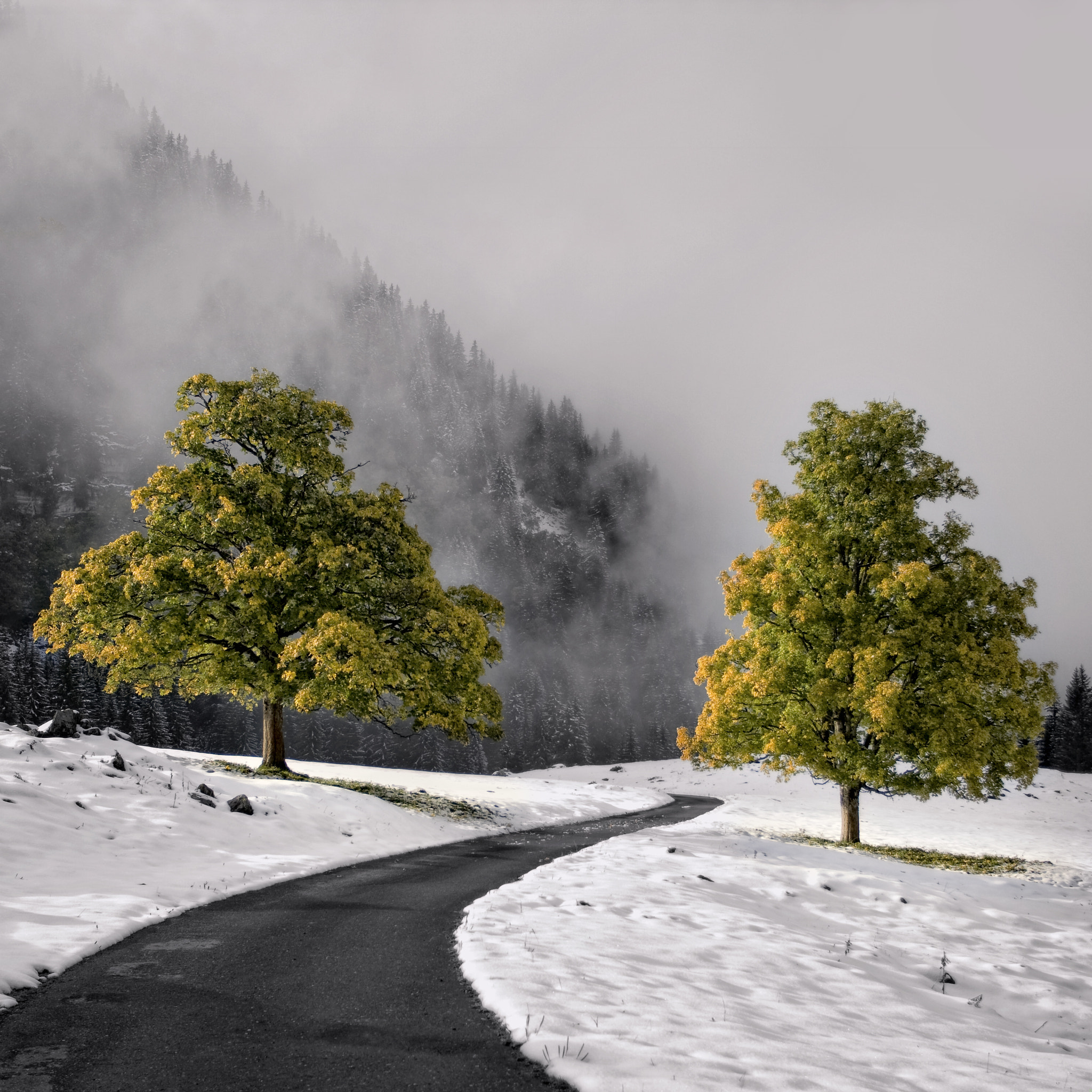 Canon EOS-1D Mark III sample photo. Fall in winter photography