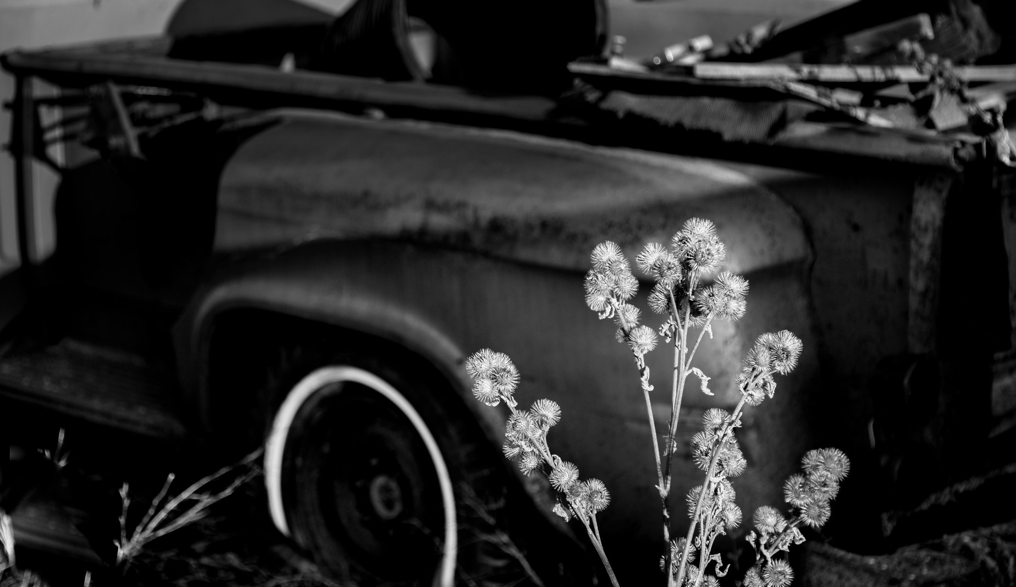 Panasonic Lumix G X Vario 35-100mm F2.8 OIS sample photo. The 100 day project 22/100 - old stuff photography
