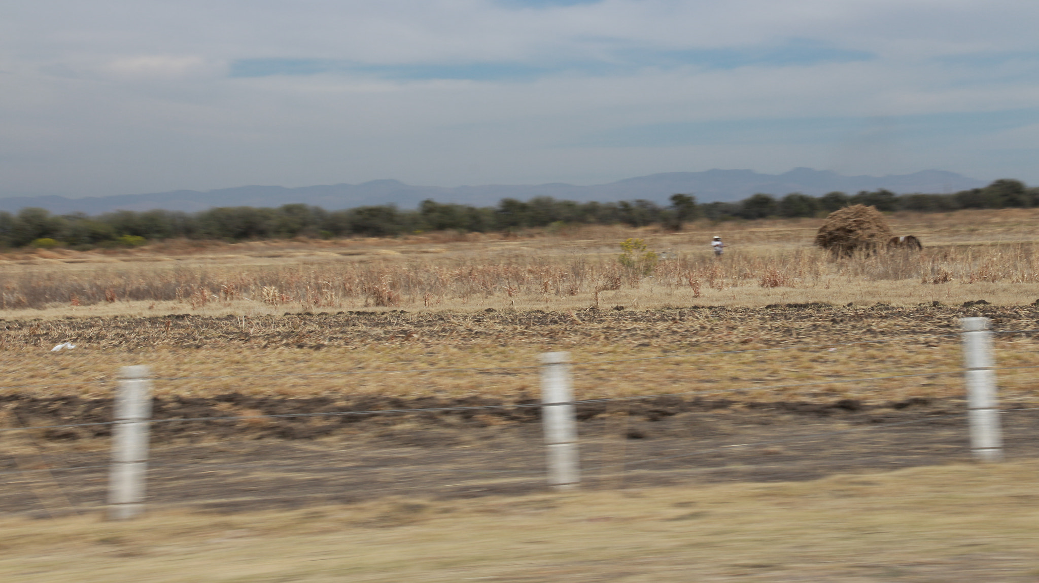 Canon EOS M sample photo. Field photography