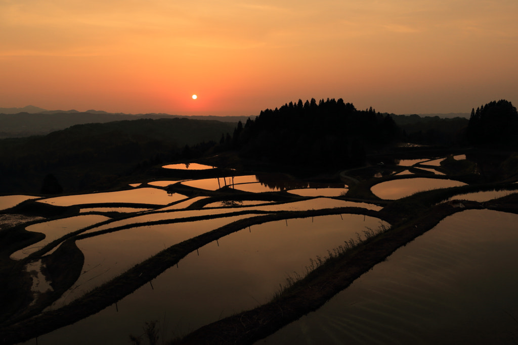 Terraced rice fields by Taichi K on 500px.com