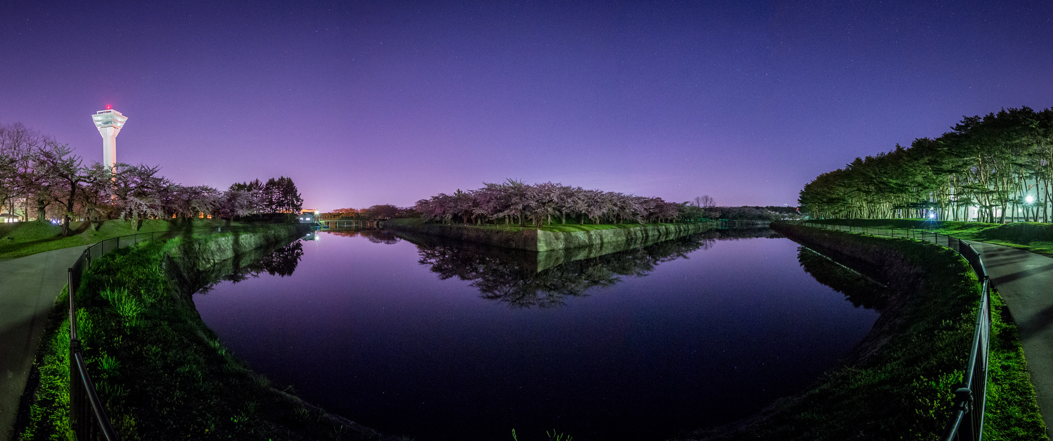 Nikon D4S sample photo. Goryokaku park of cherry blossoms by night photography