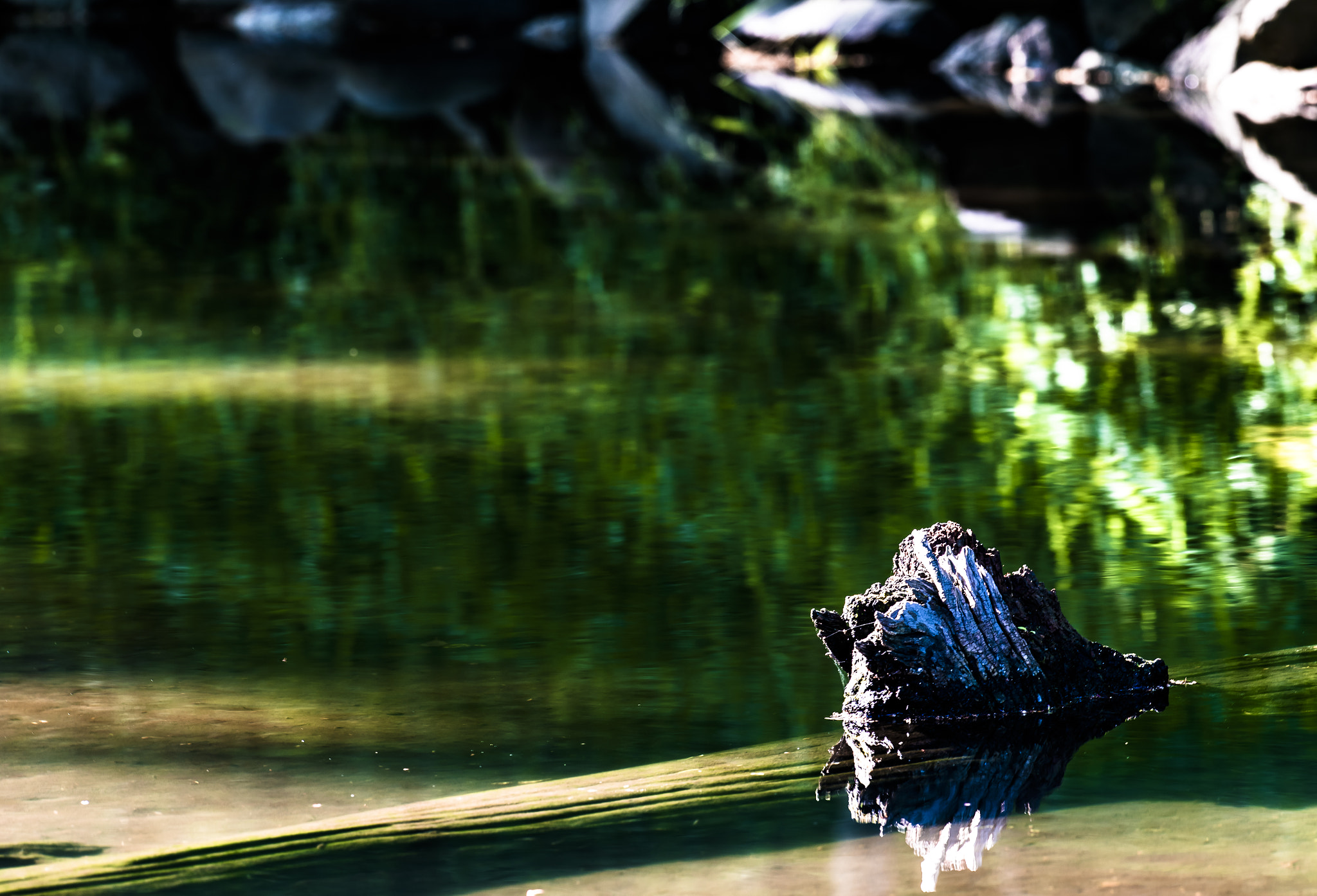 Nikon AF-S Nikkor 300mm F2.8G ED VR II sample photo. Stream wood ~green of spring~ photography
