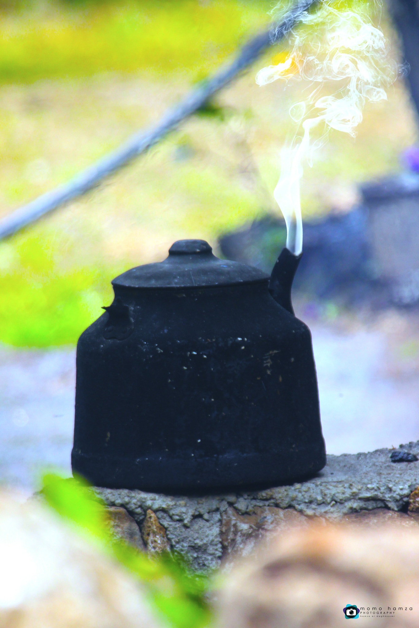 Canon EF 100-300mm f/5.6 sample photo