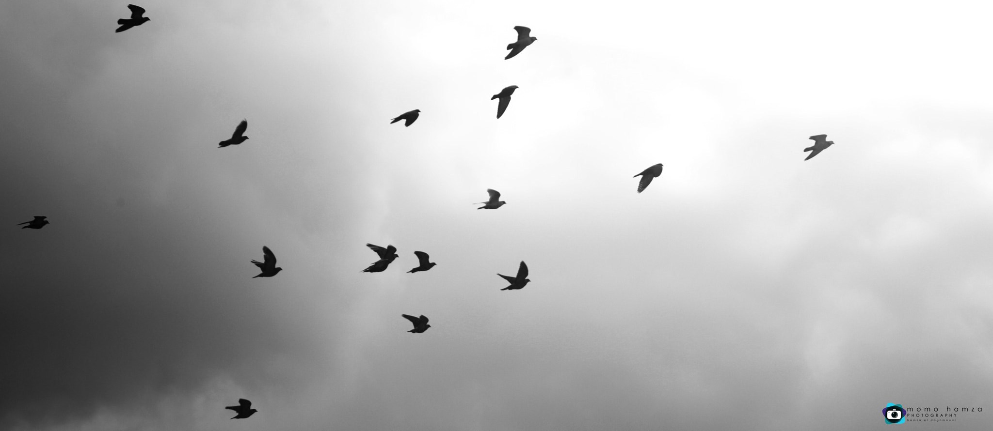 Canon EF 100-300mm f/5.6 sample photo