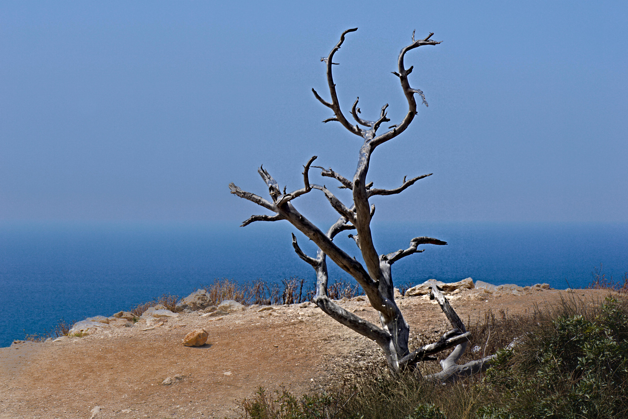 Sony E 18-55mm F3.5-5.6 OSS sample photo. Skeleton photography