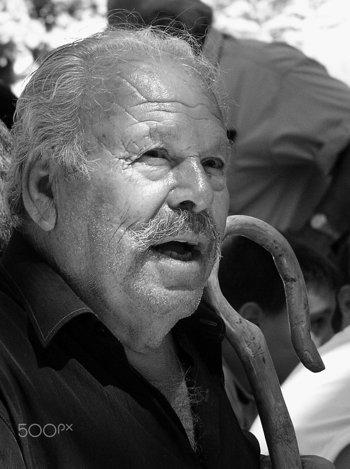 Olympus C5050Z sample photo. Old man from crete. photography
