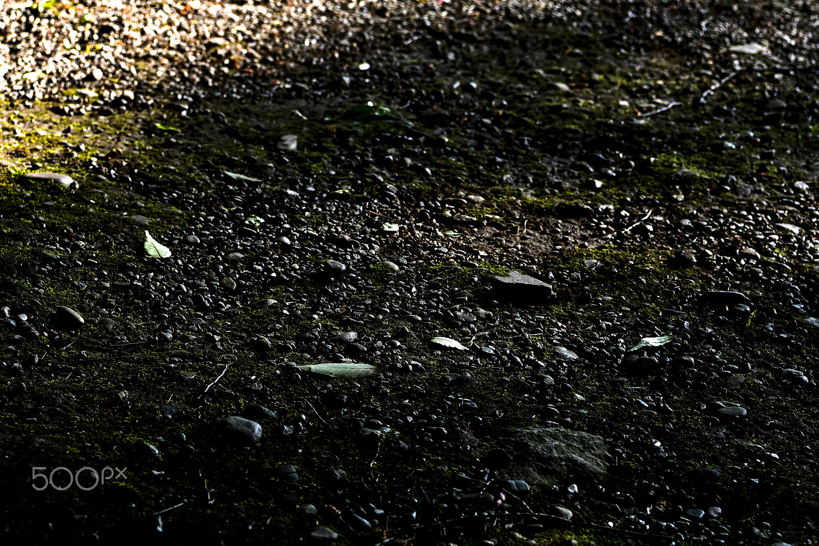 Nikon AF-S Nikkor 24-70mm F2.8E ED VR sample photo. Step on the earth photography