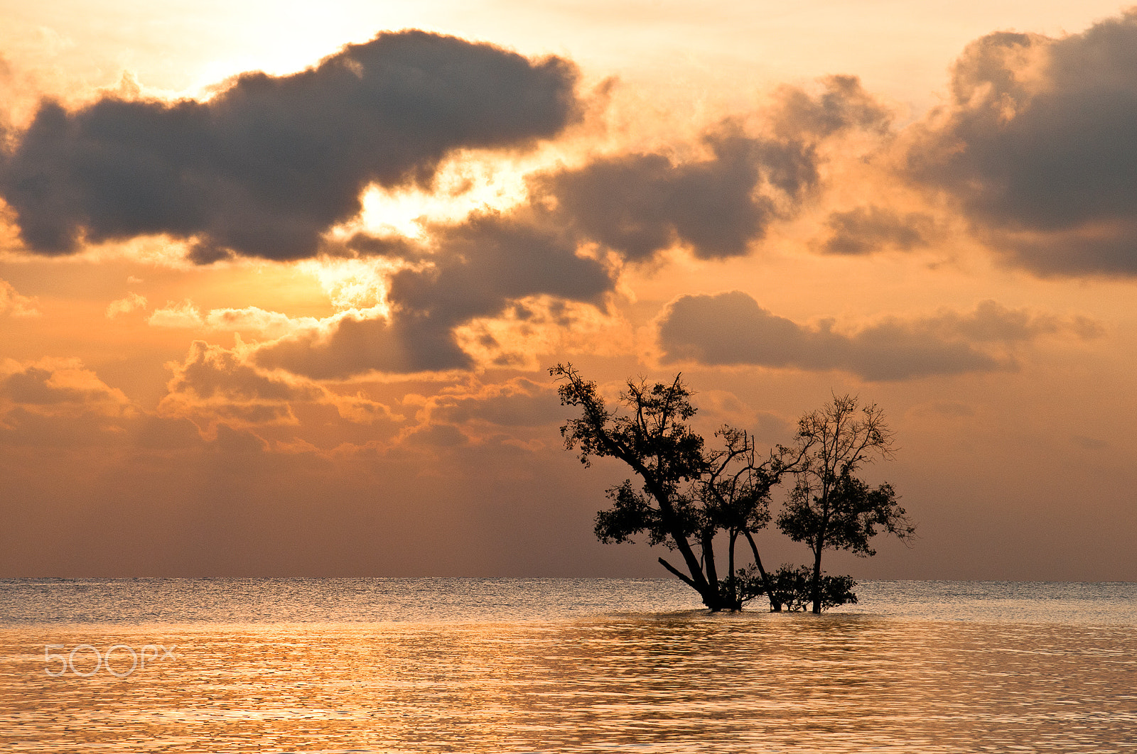 Sigma 50-150mm F2.8 EX APO DC HSM sample photo. From havelock photography
