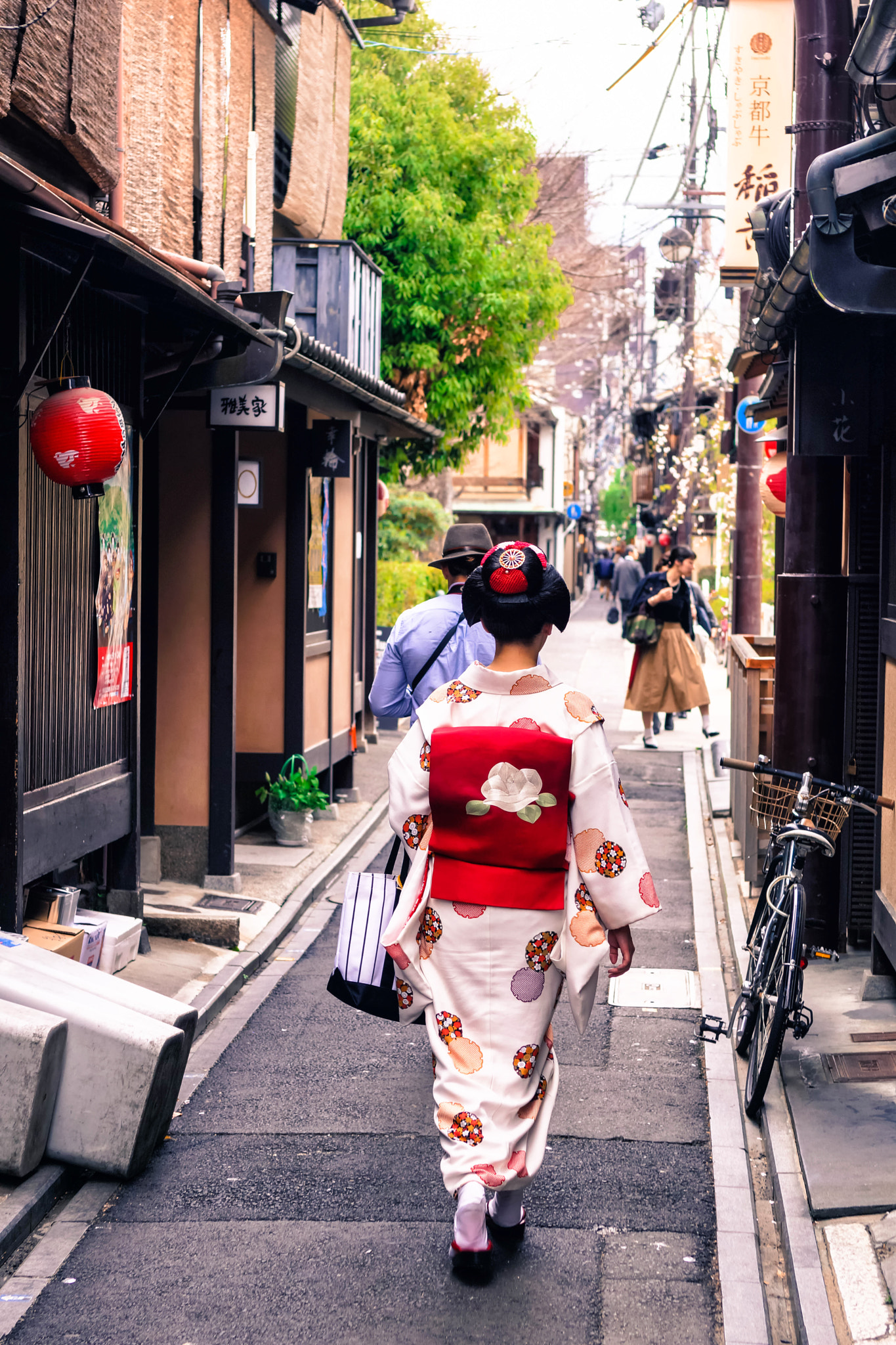 Sony Planar T* 50mm F1.4 ZA SSM sample photo. Follow the geisha photography