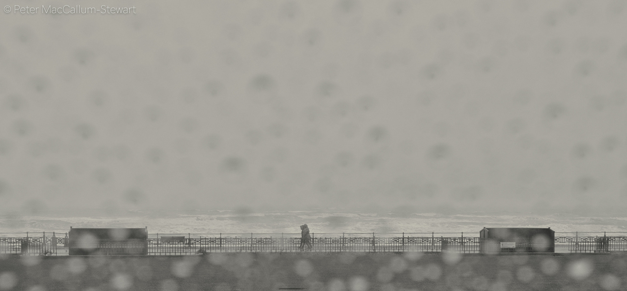 Olympus OM-D E-M1 + OLYMPUS M.12-50mm F3.5-6.3 sample photo. Stranger on the shore. 1961 mr acker bilk photography