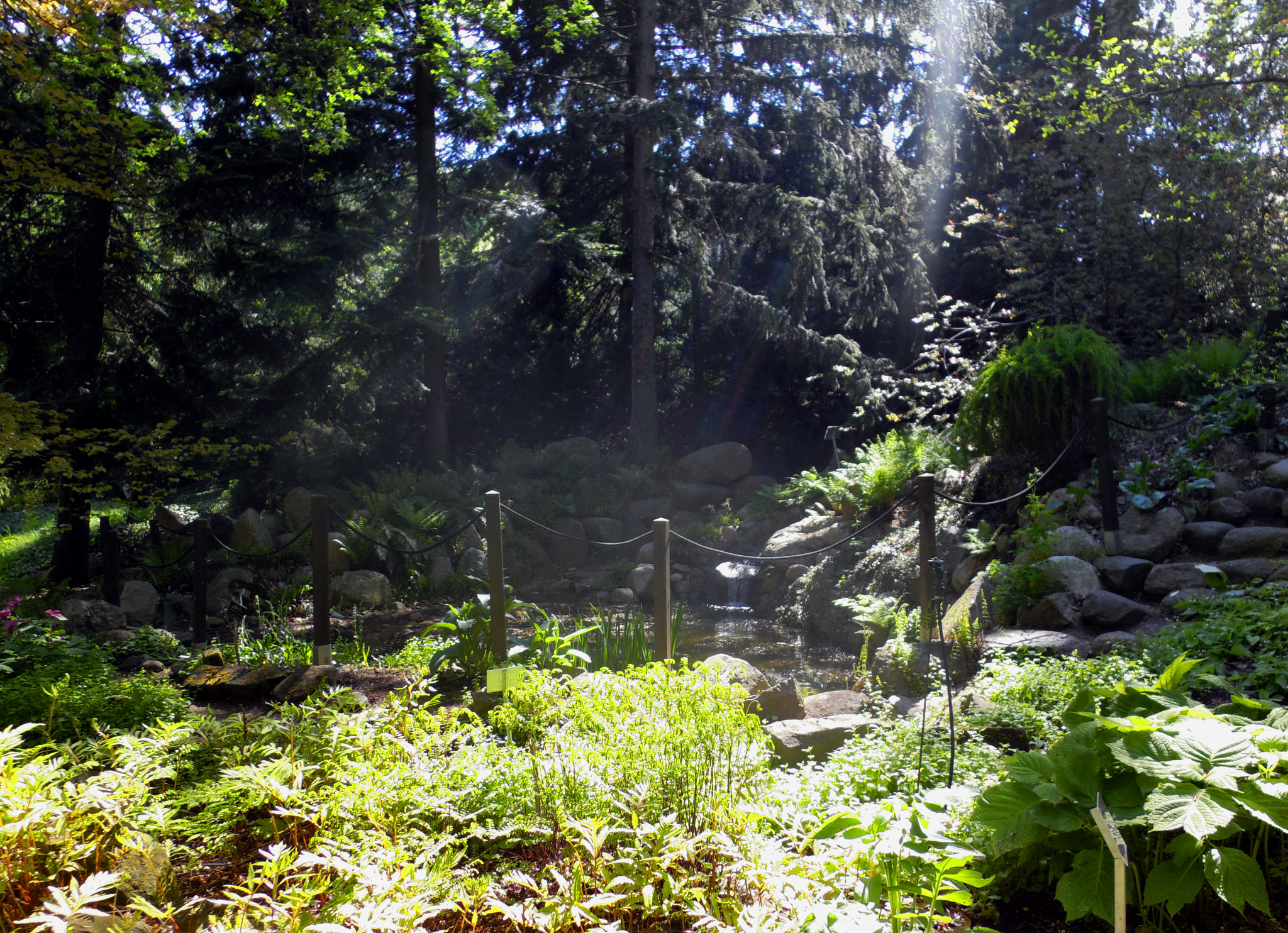 Benq G1 sample photo. Garden photography