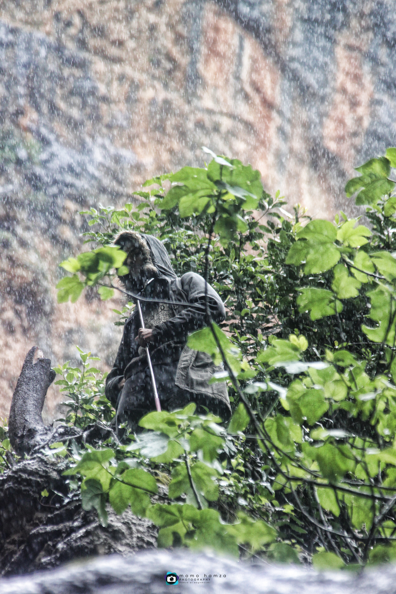 Canon EF 100-300mm f/5.6 sample photo