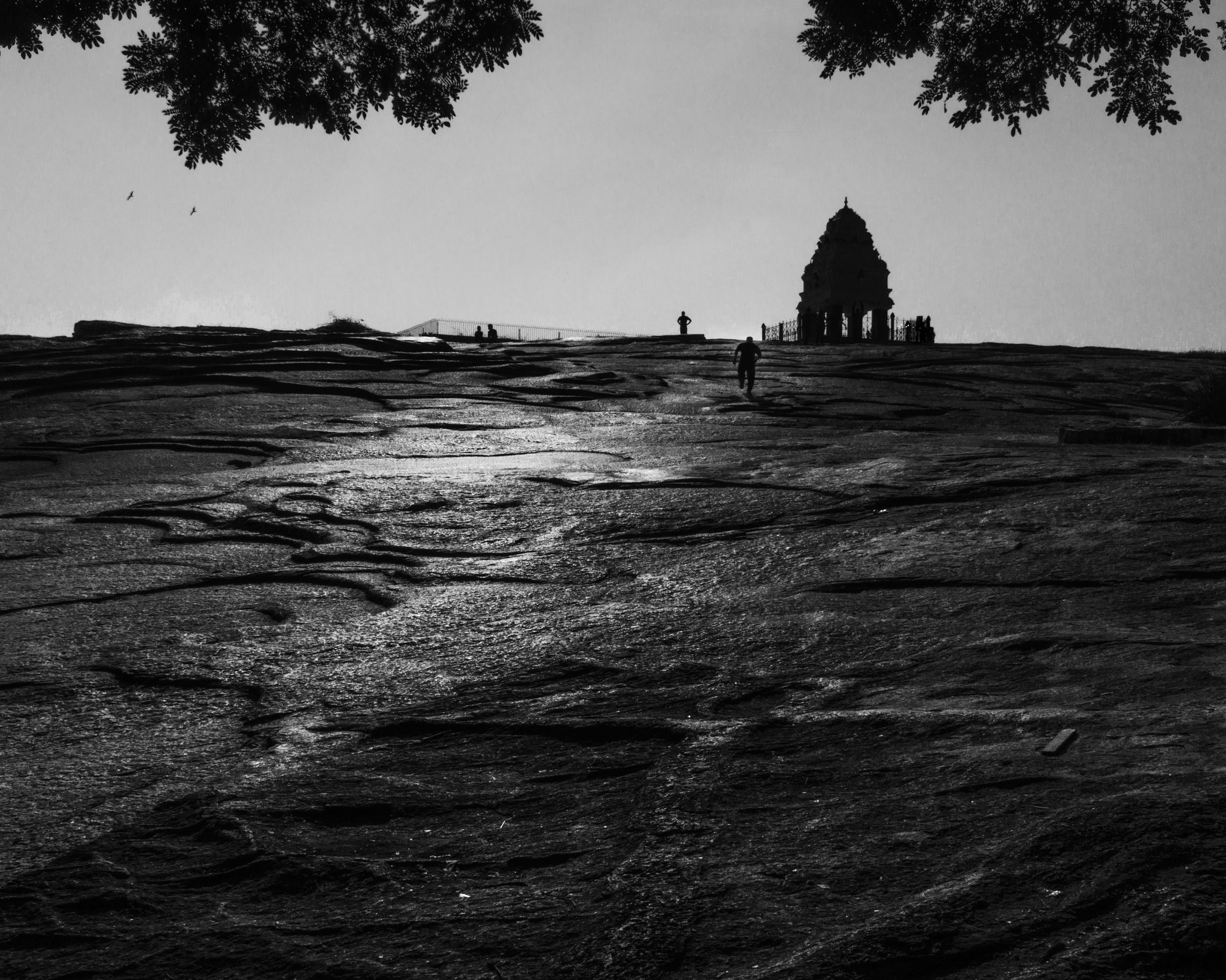 Sigma 30mm F2.8 EX DN sample photo. Climb photography