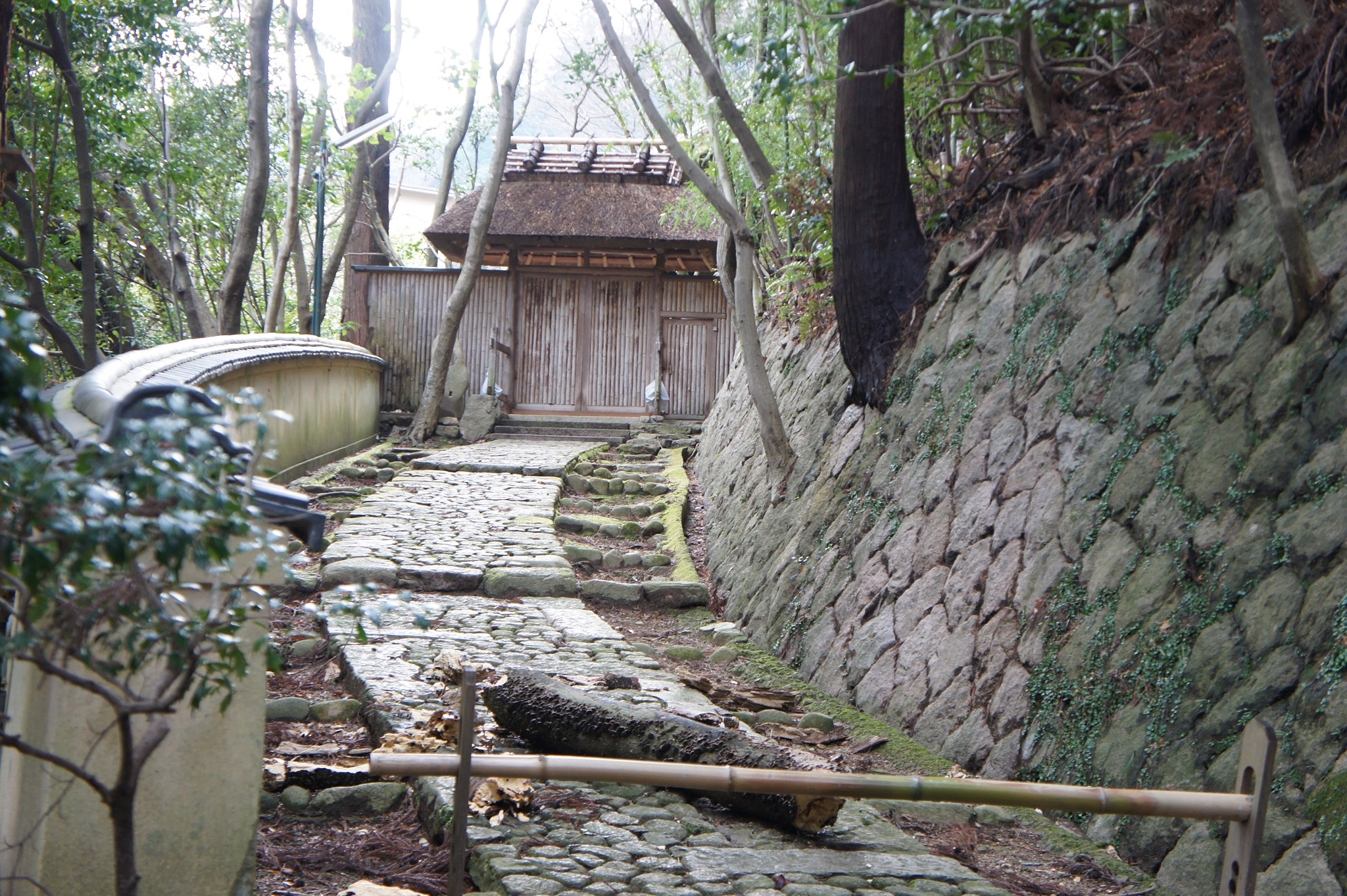Tamron 18-200mm F3.5-6.3 Di III VC sample photo