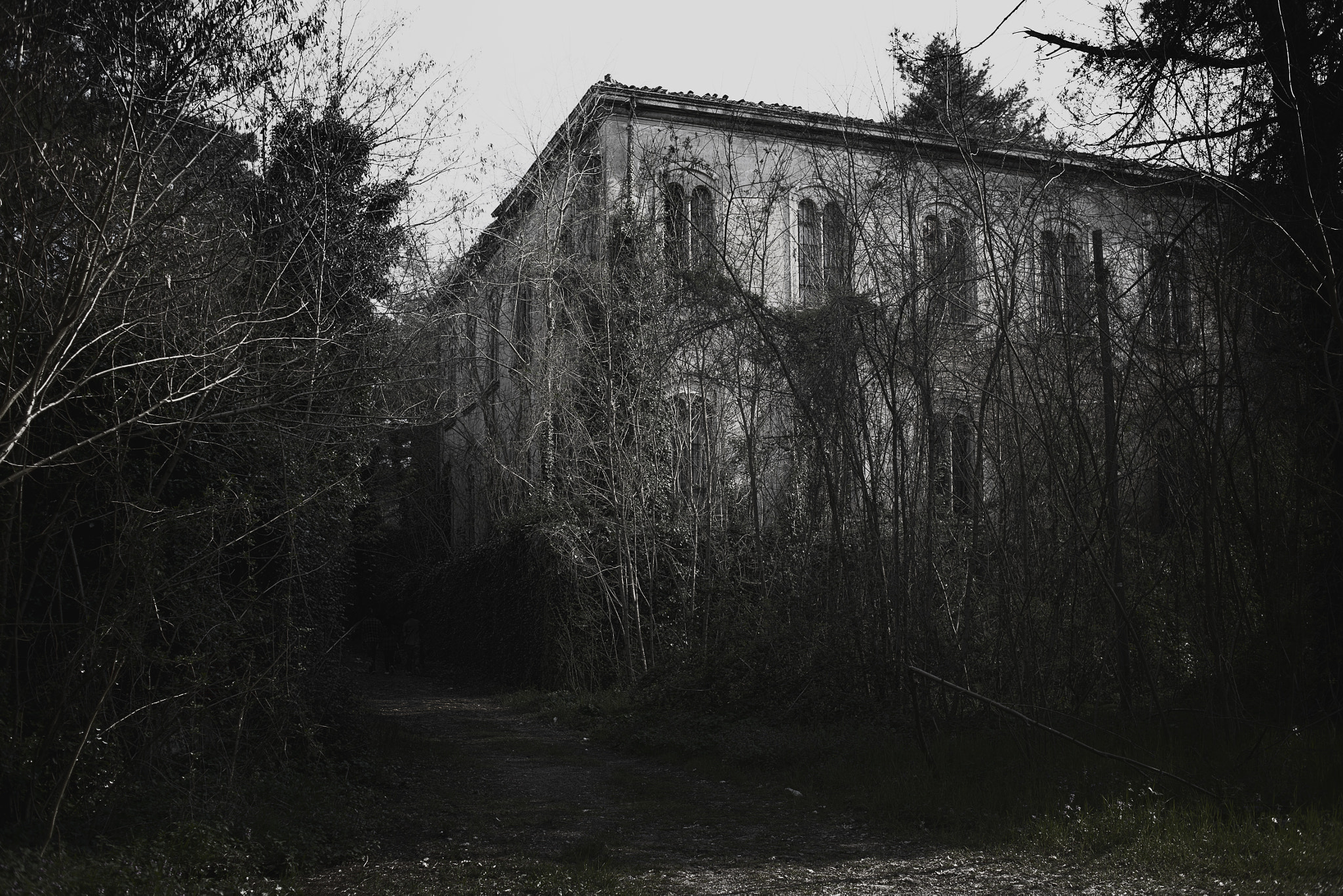Nikon Df + AF Nikkor 35mm f/2 sample photo. #1 auxilium vitae - padiglione ferri photography