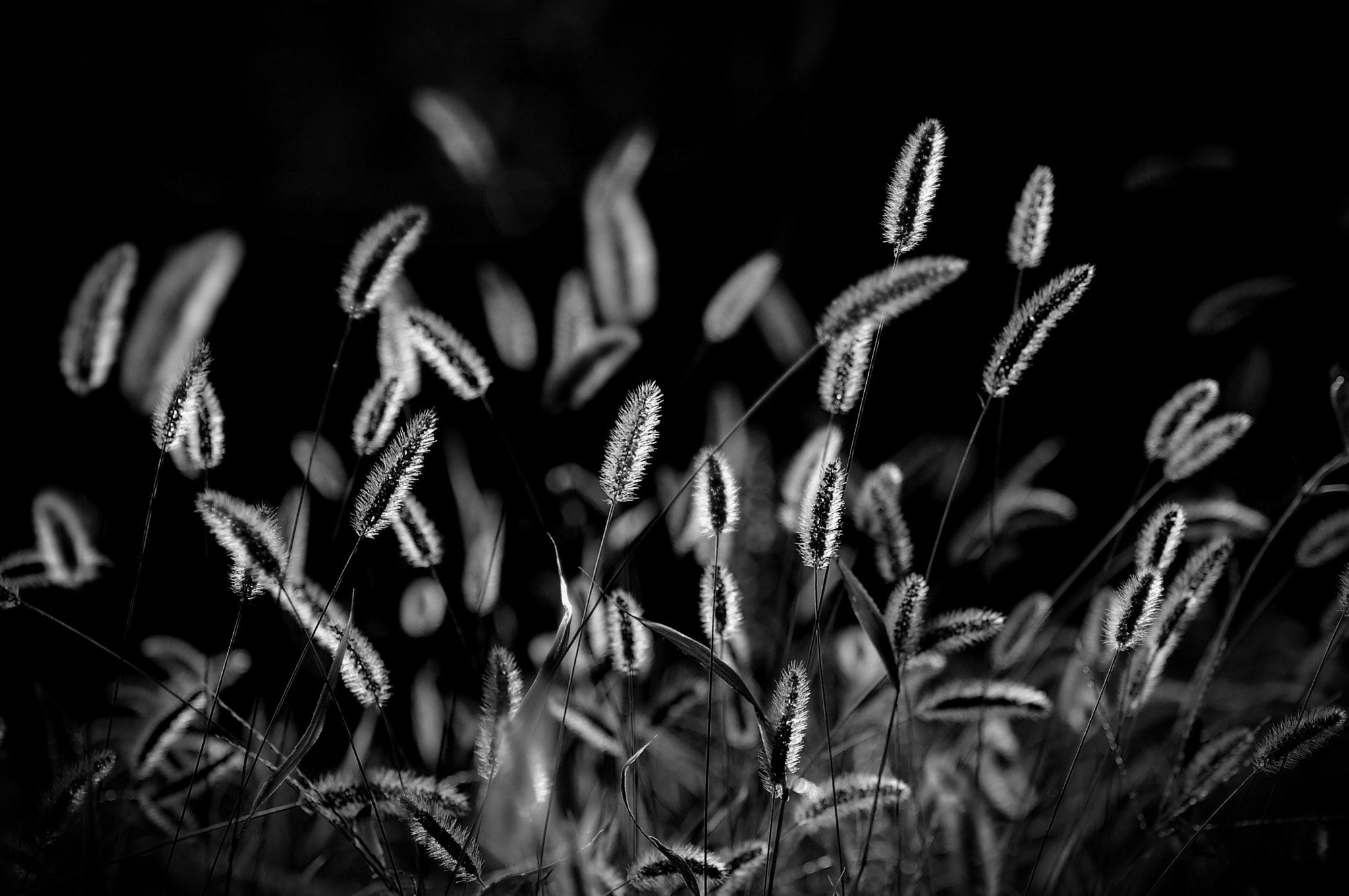 Nikon D40 sample photo. Lights... photography