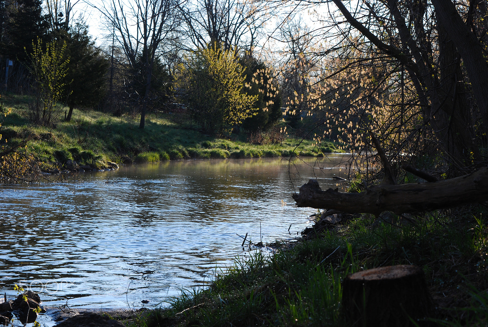 Nikon D60 sample photo. Morning bliss photography