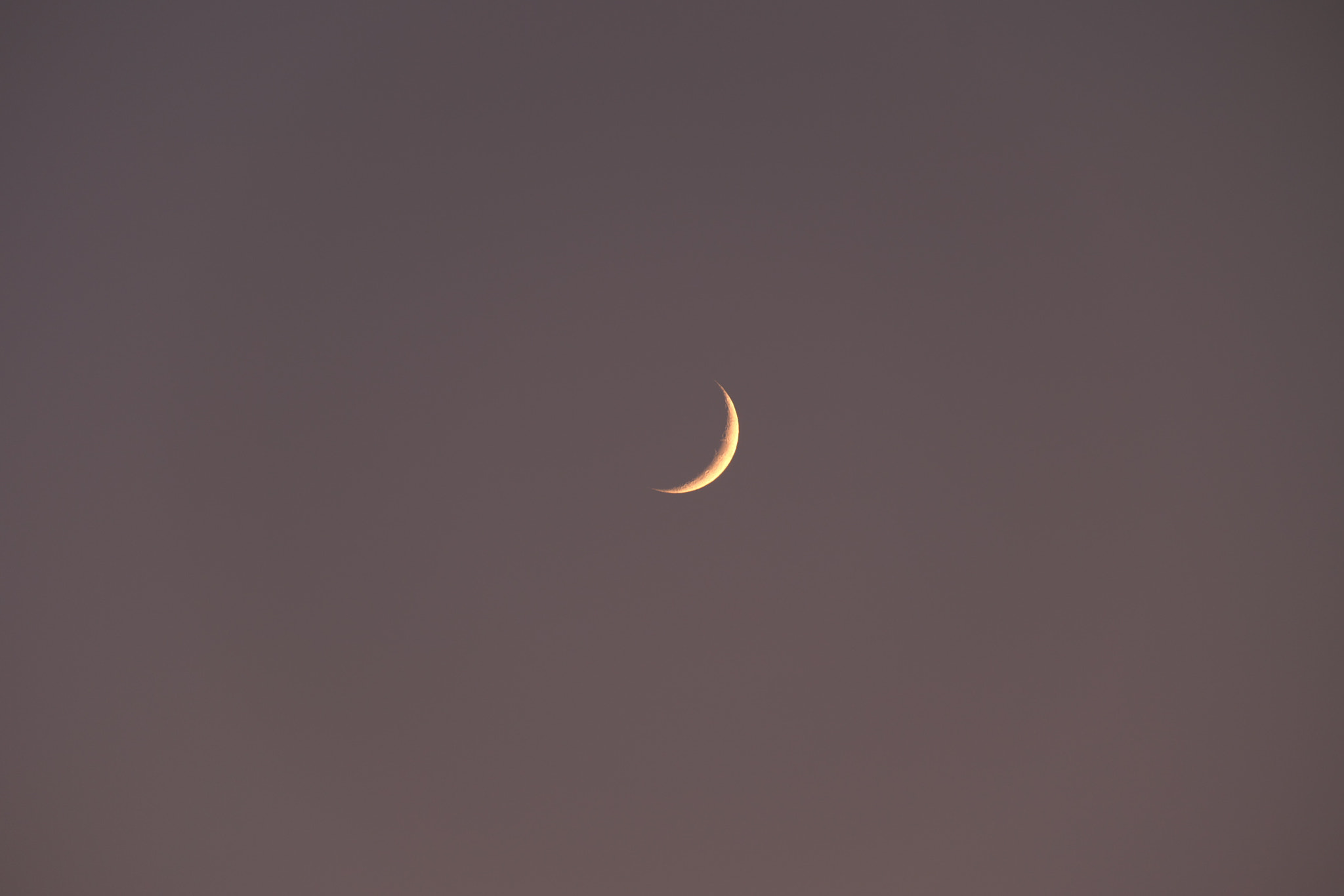 Fujifilm X-A2 + Fujifilm XC 50-230mm F4.5-6.7 OIS II sample photo. The moon last night photography