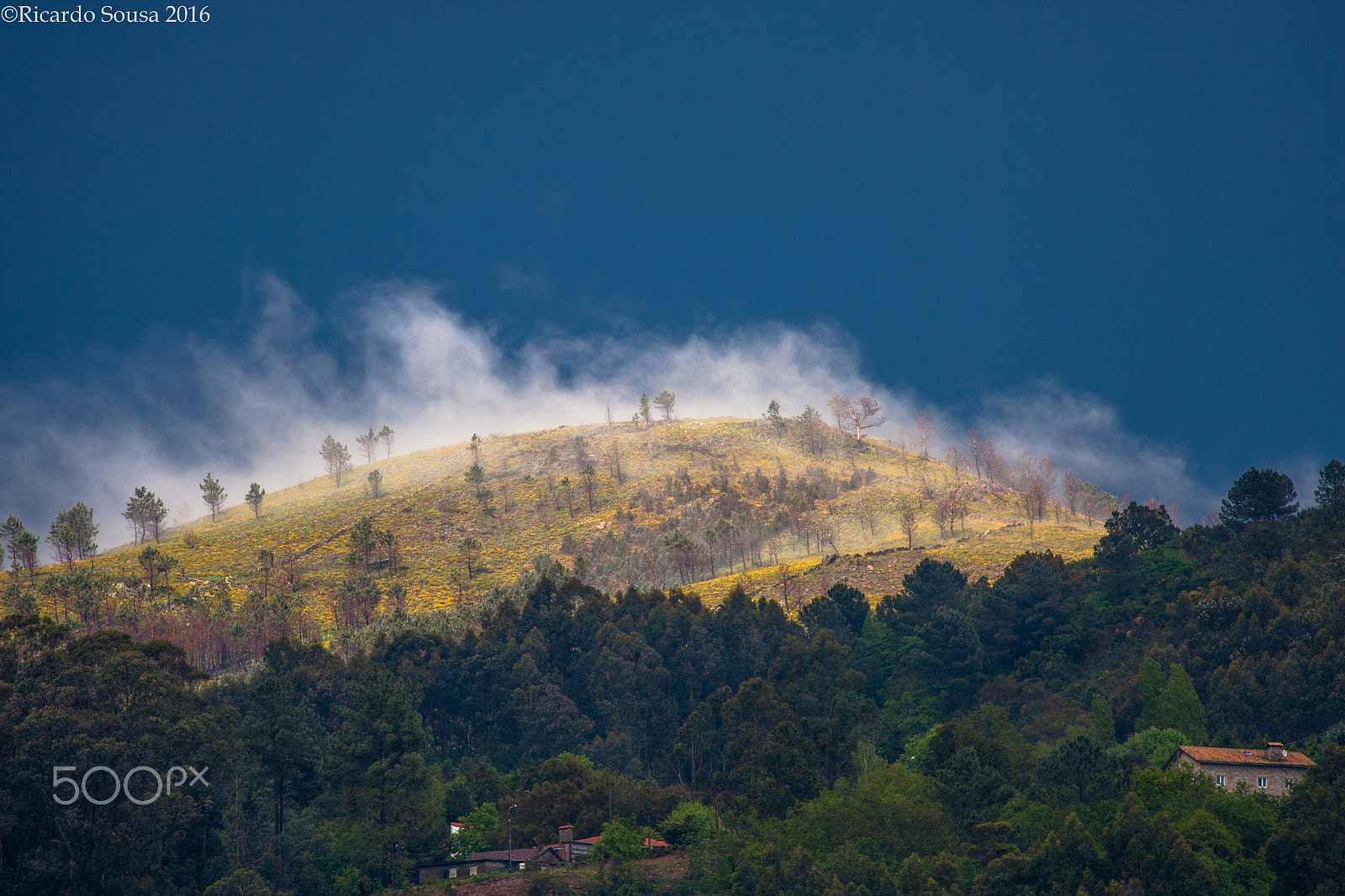 Canon EF 100-400mm F4.5-5.6L IS USM sample photo. Fog! photography