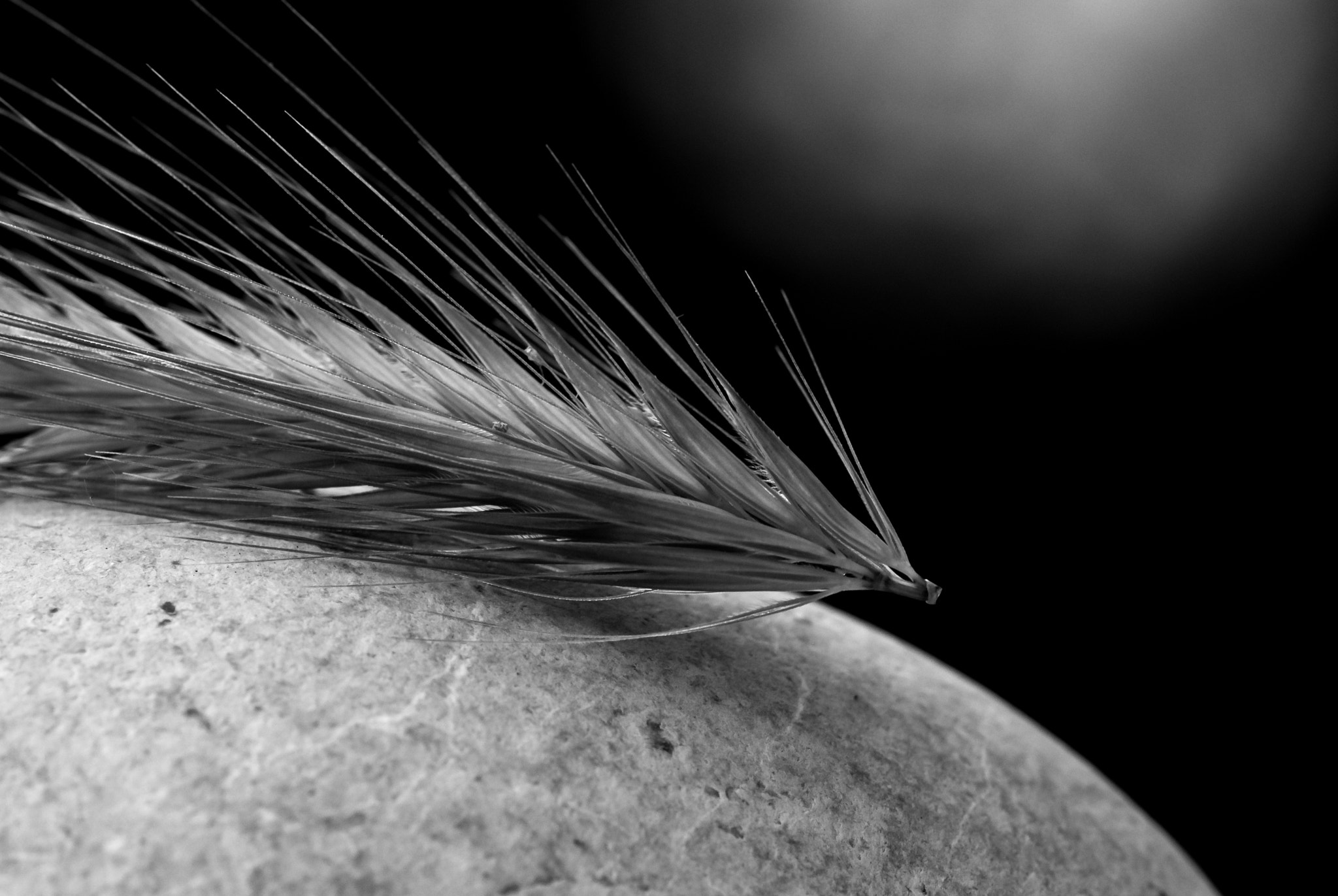 Sigma 150mm F2.8 EX DG Macro HSM sample photo. Arrows of my childhood photography