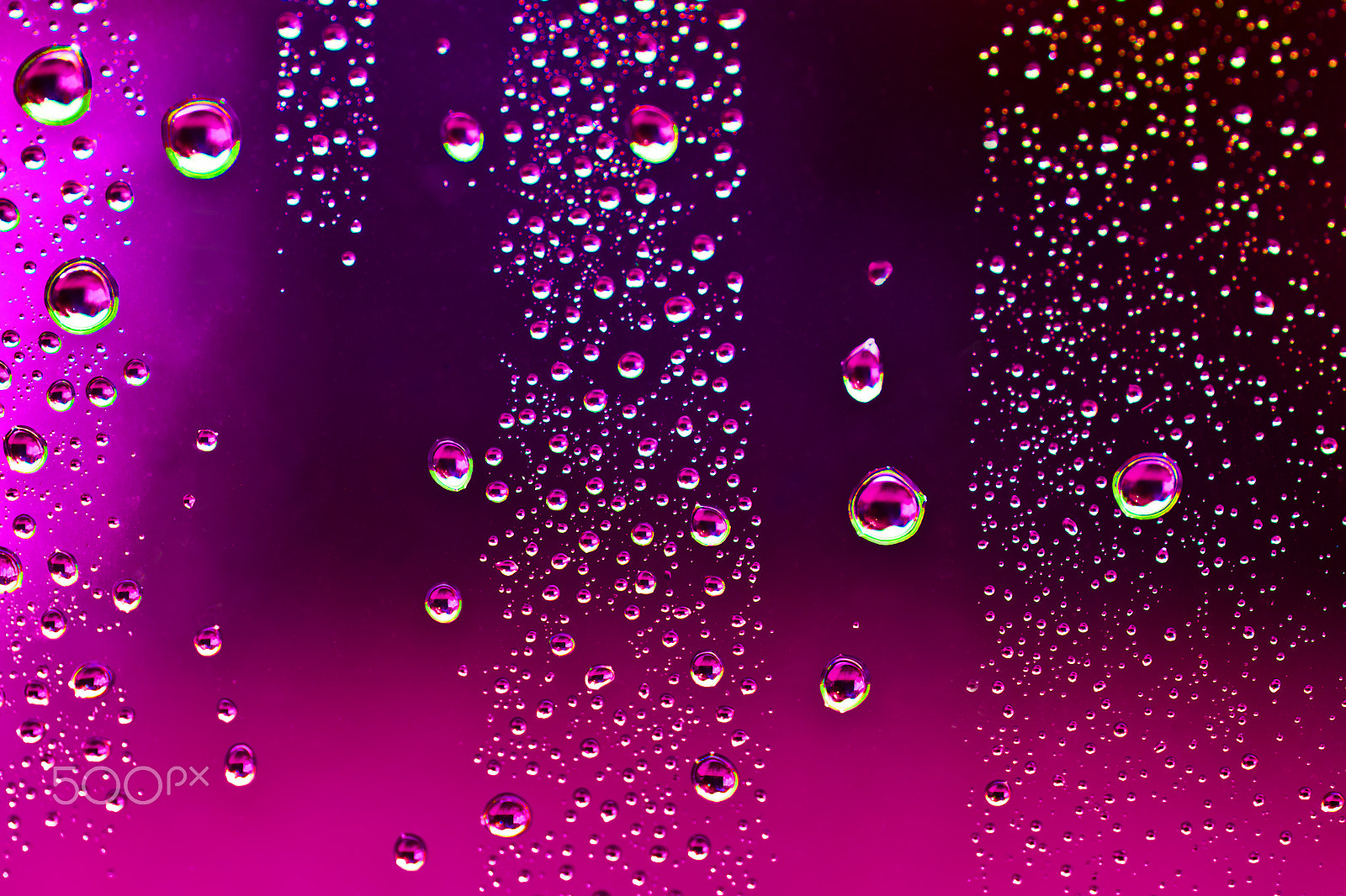 Sony Alpha DSLR-A850 + Tamron SP AF 90mm F2.8 Di Macro sample photo. Bubbles of beauty. photography