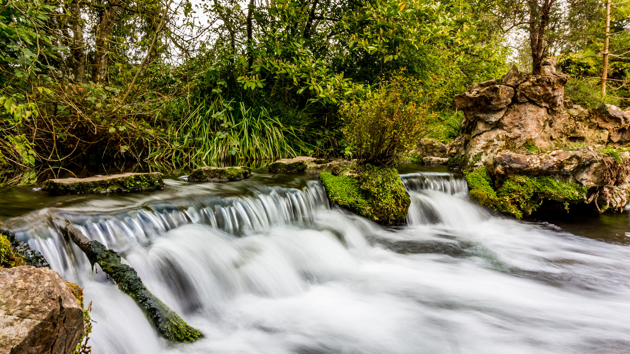 Canon EF-S 10-18mm F4.5–5.6 IS STM sample photo. Tranquil gardens photography