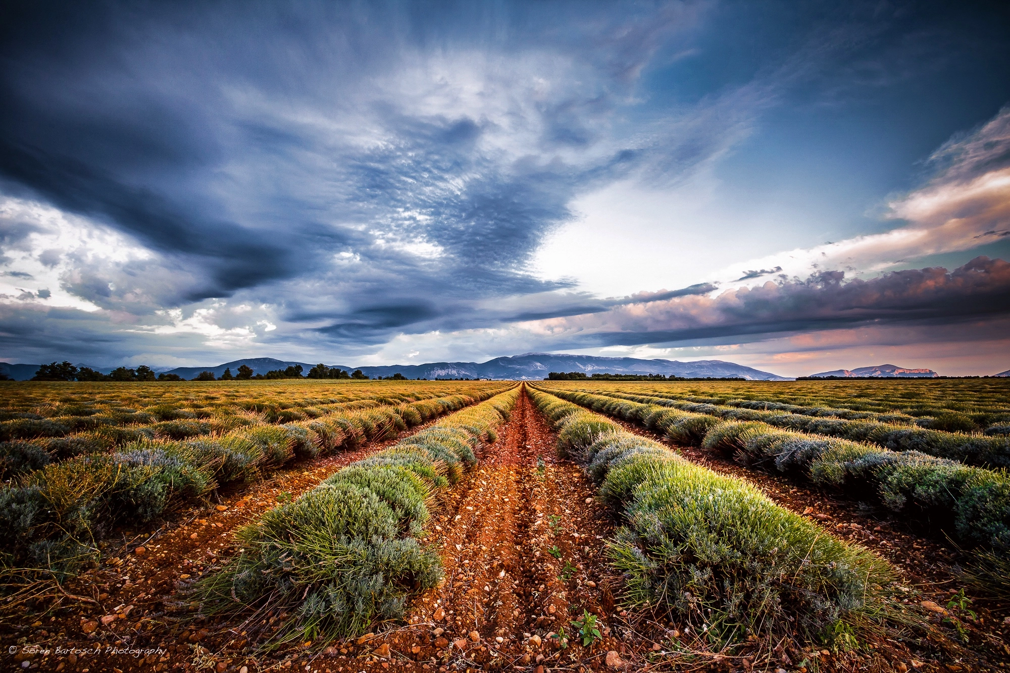 Sigma 10-20mm F3.5 EX DC HSM sample photo. Lavender field provence photography