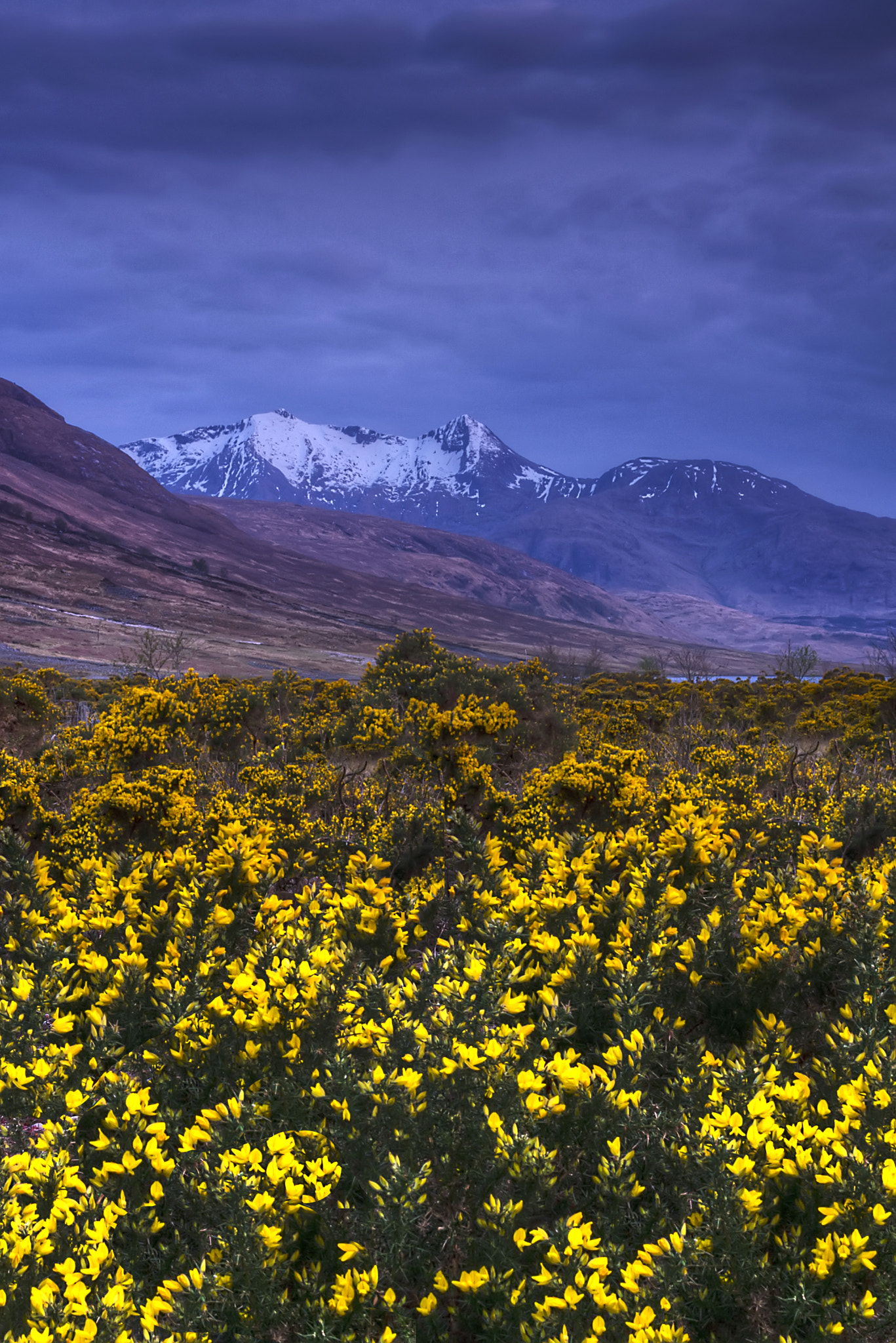 Pentax K-5 + Sigma 17-70mm F2.8-4 DC Macro OS HSM sample photo. Ben cruachan from loch etive photography