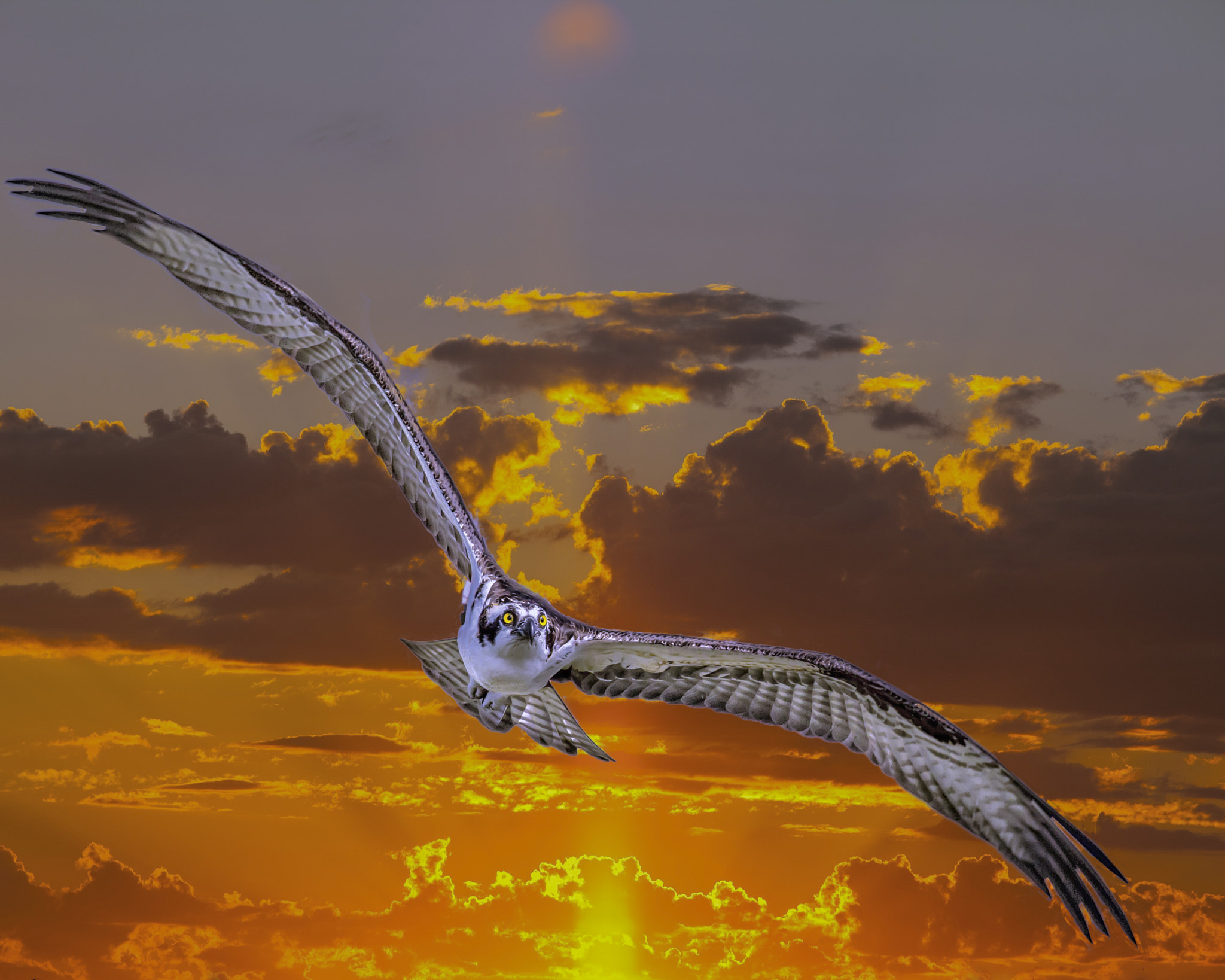 Canon EF 300mm F2.8L IS II USM sample photo. Florida sunset photography