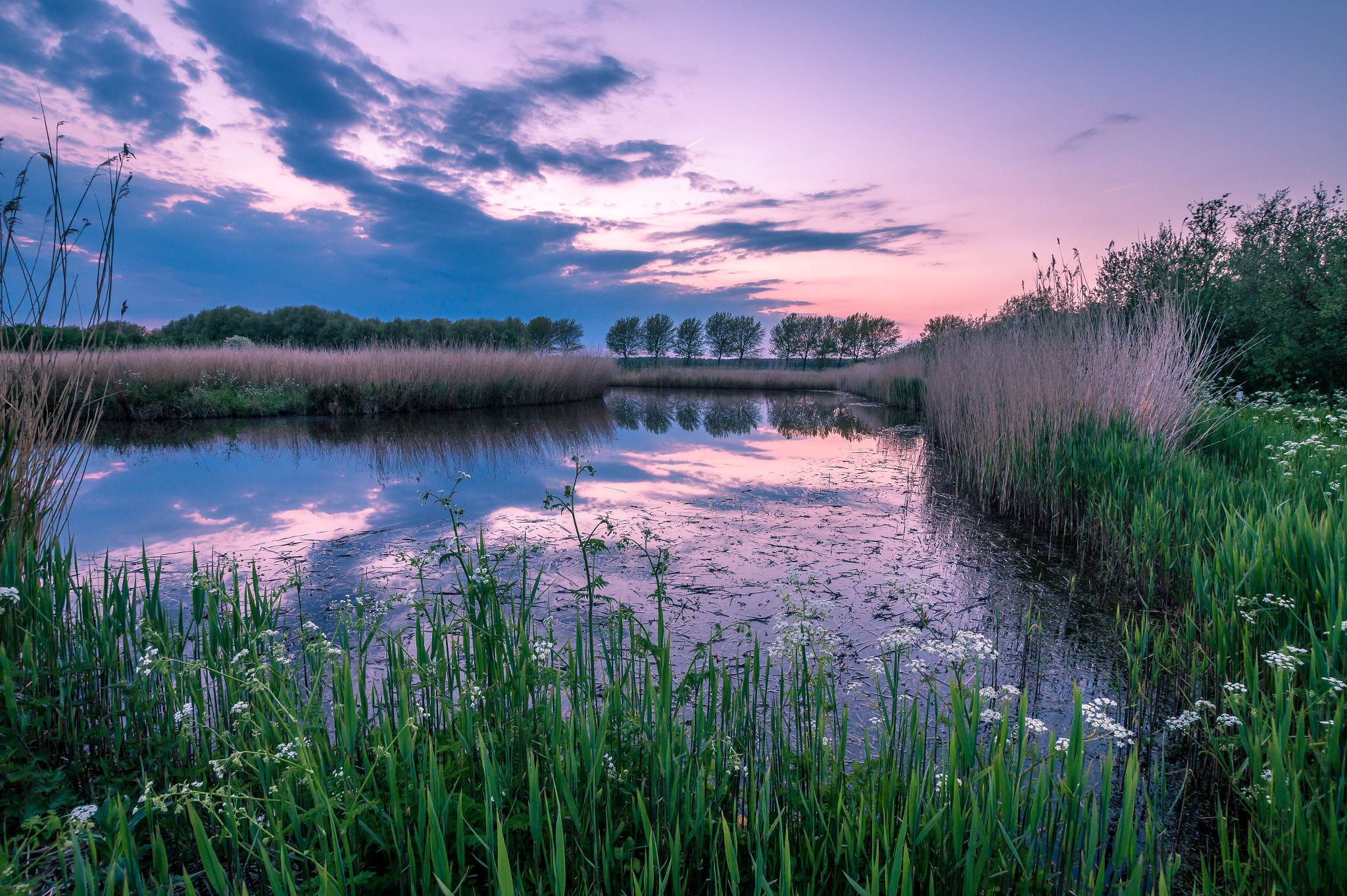 Sony SLT-A58 + Sigma 10-20mm F3.5 EX DC HSM sample photo. Sunset over the biesland creeks photography