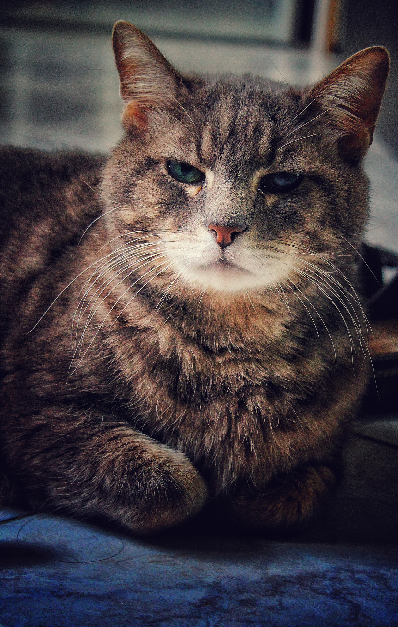 Canon EF-S 18-55mm F3.5-5.6 IS II sample photo. Le gros... photography