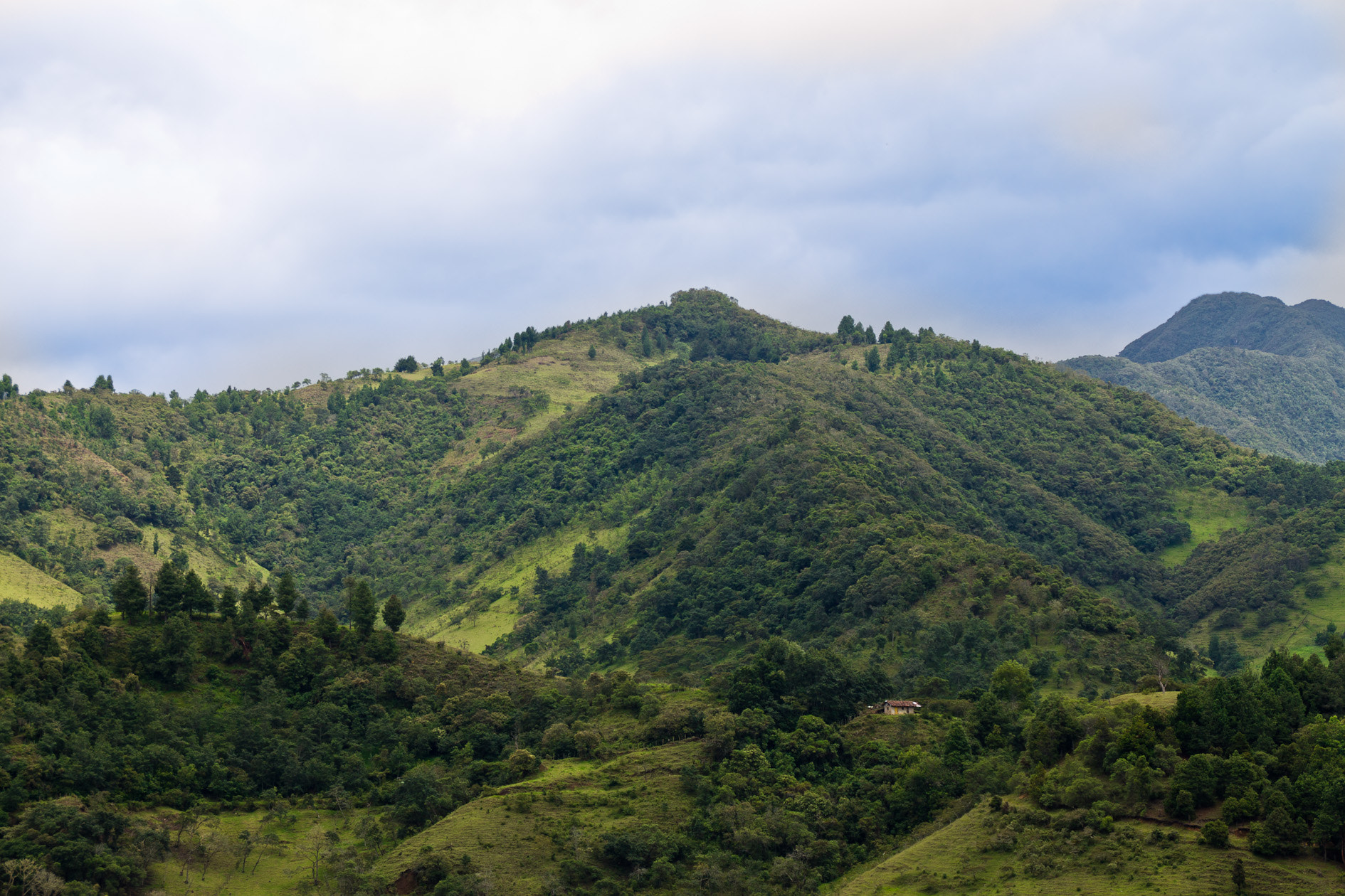 Canon EOS 1100D (EOS Rebel T3 / EOS Kiss X50) sample photo. Montañas del cauca photography