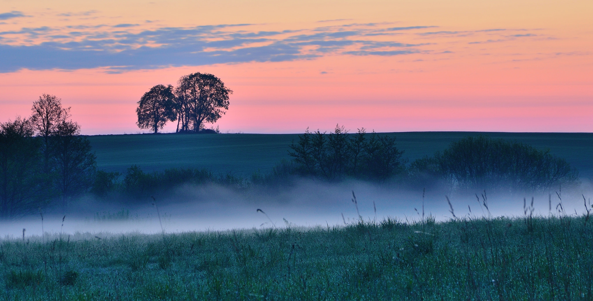 Nikon AF-S Nikkor 400mm F2.8D ED-IF II sample photo. Fog at dawn photography