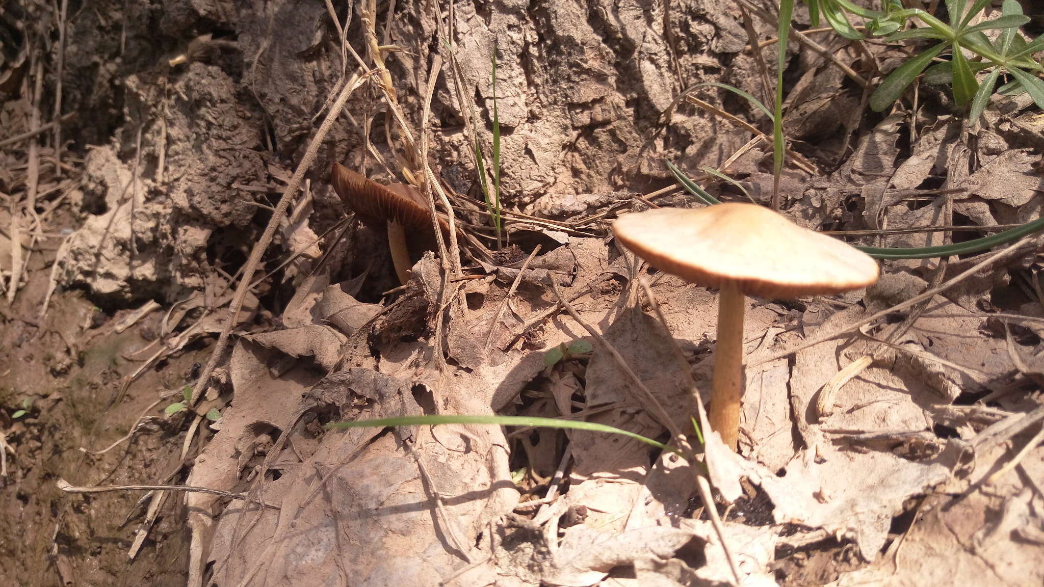 HTC ONE M9PLUS sample photo