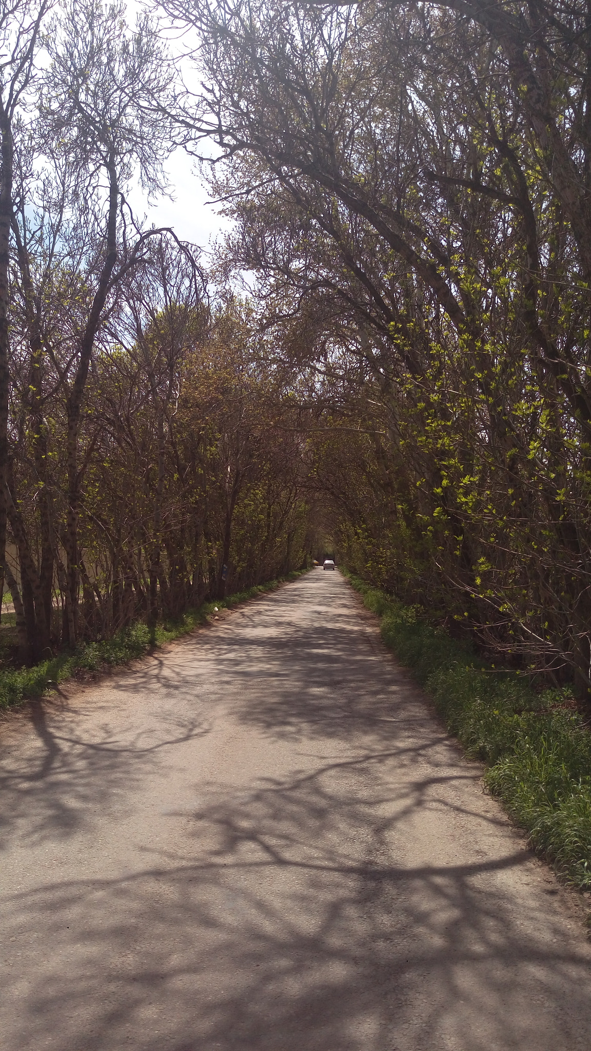 HTC ONE M9PLUS sample photo