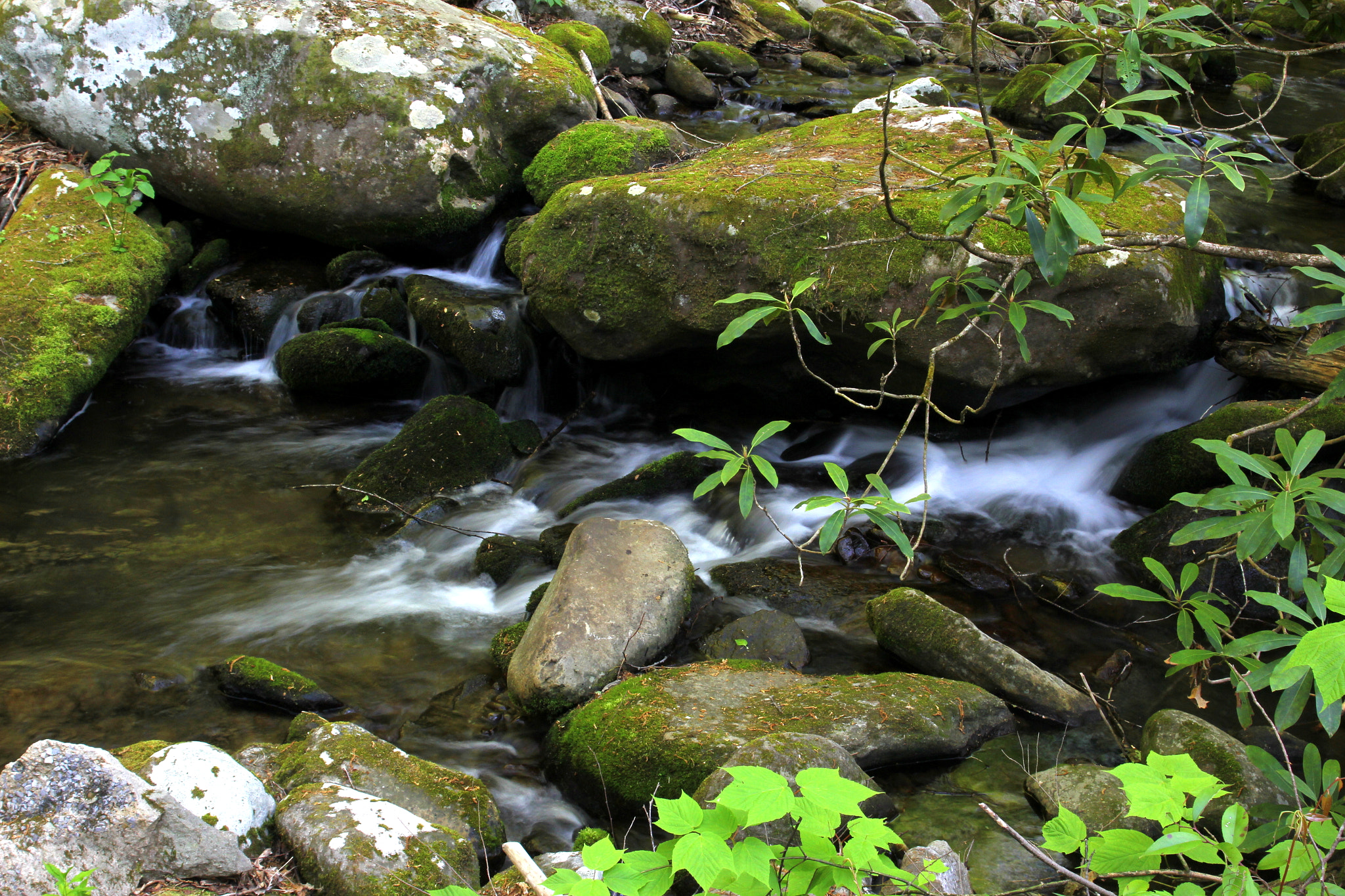 Canon EOS 60D + Tokina AT-X 280 AF Pro 28-80mm f/2.8 Aspherical sample photo. Roaring fork #23 photography