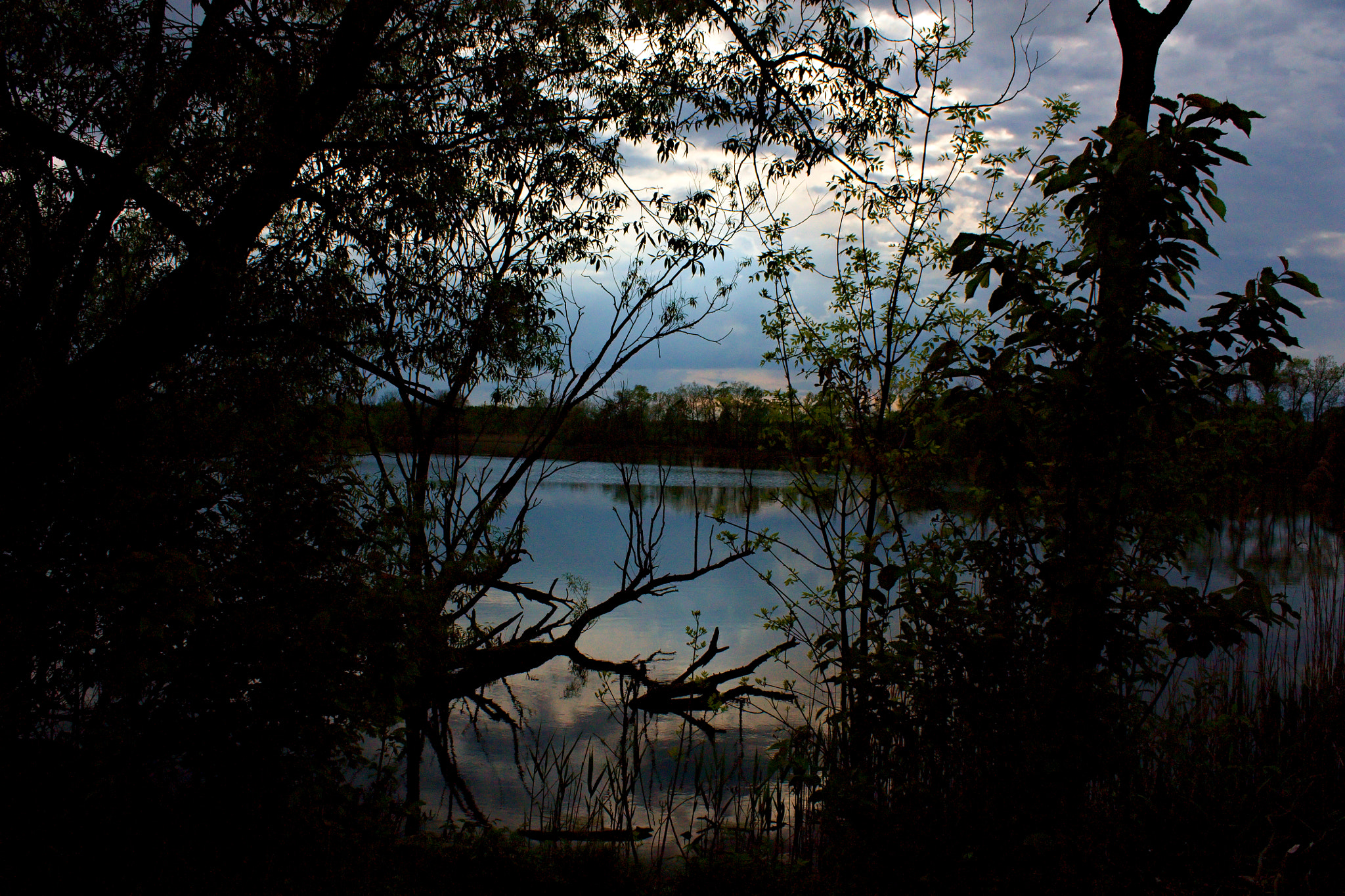 18.00 - 55.00 mm sample photo. Evening at the pond photography