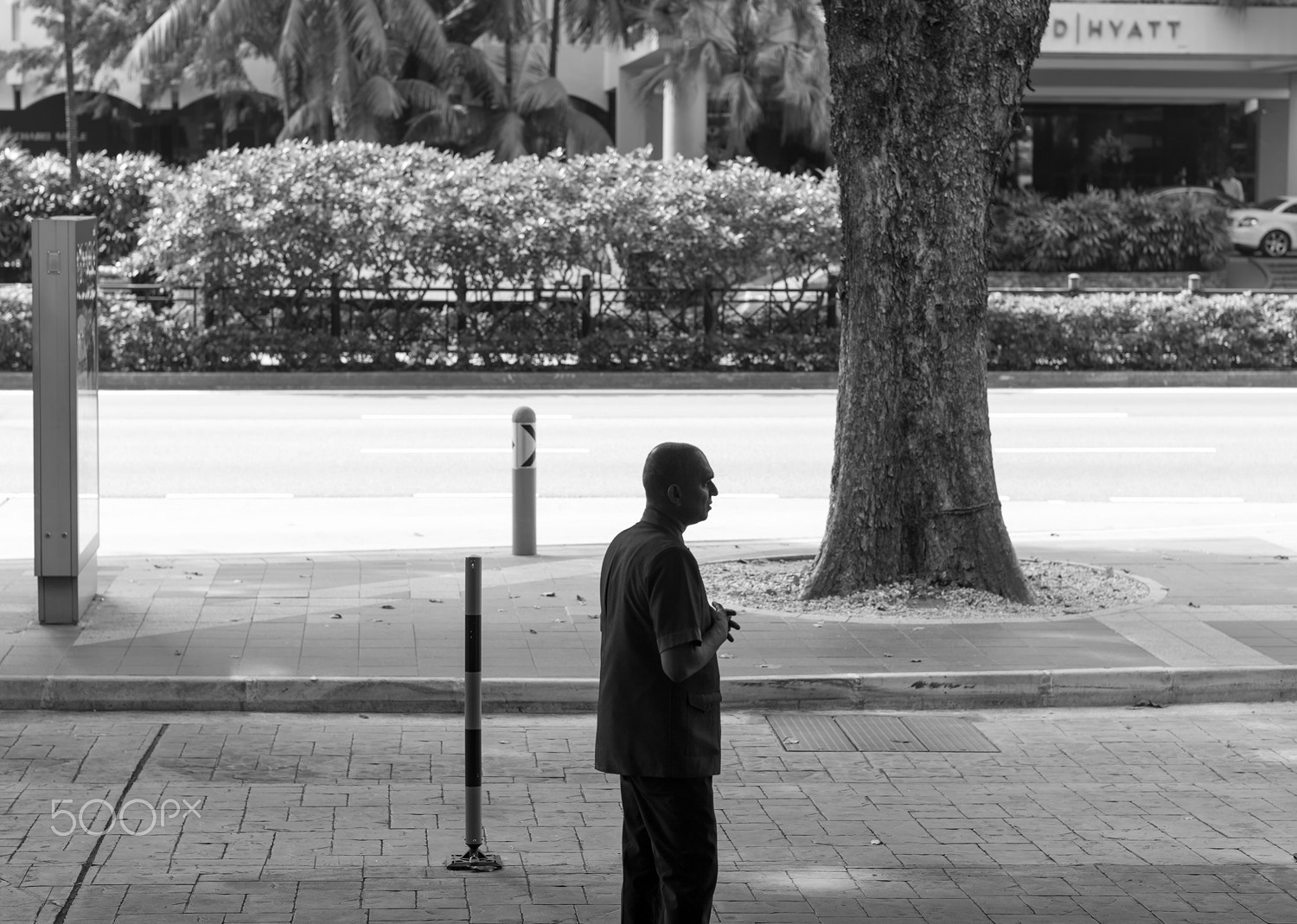 Leica APO-Summicron-M 75mm F2 ASPH sample photo. Bellboy photography