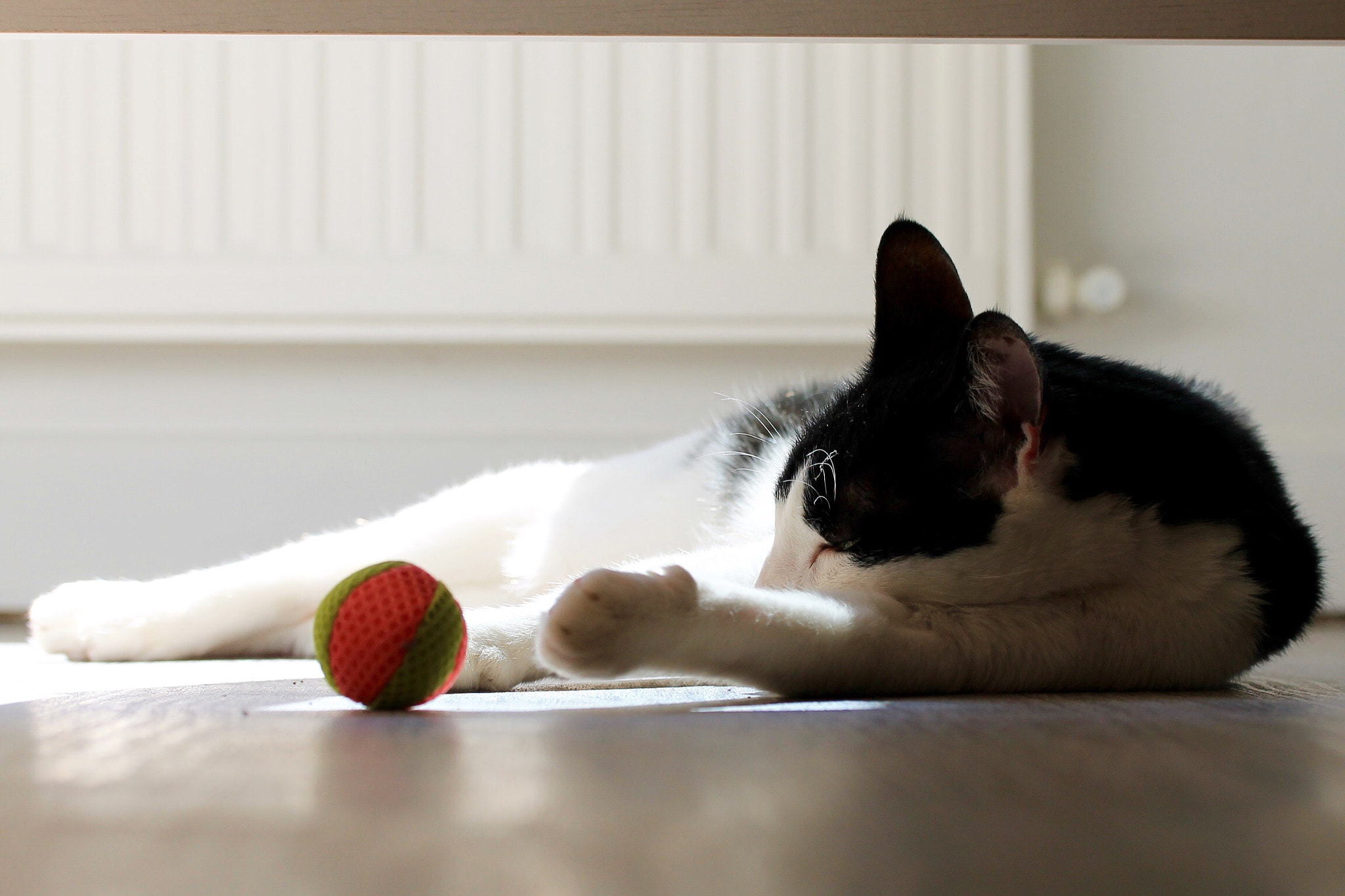Canon EF-S 60mm F2.8 Macro USM sample photo. Shhh a dormir photography