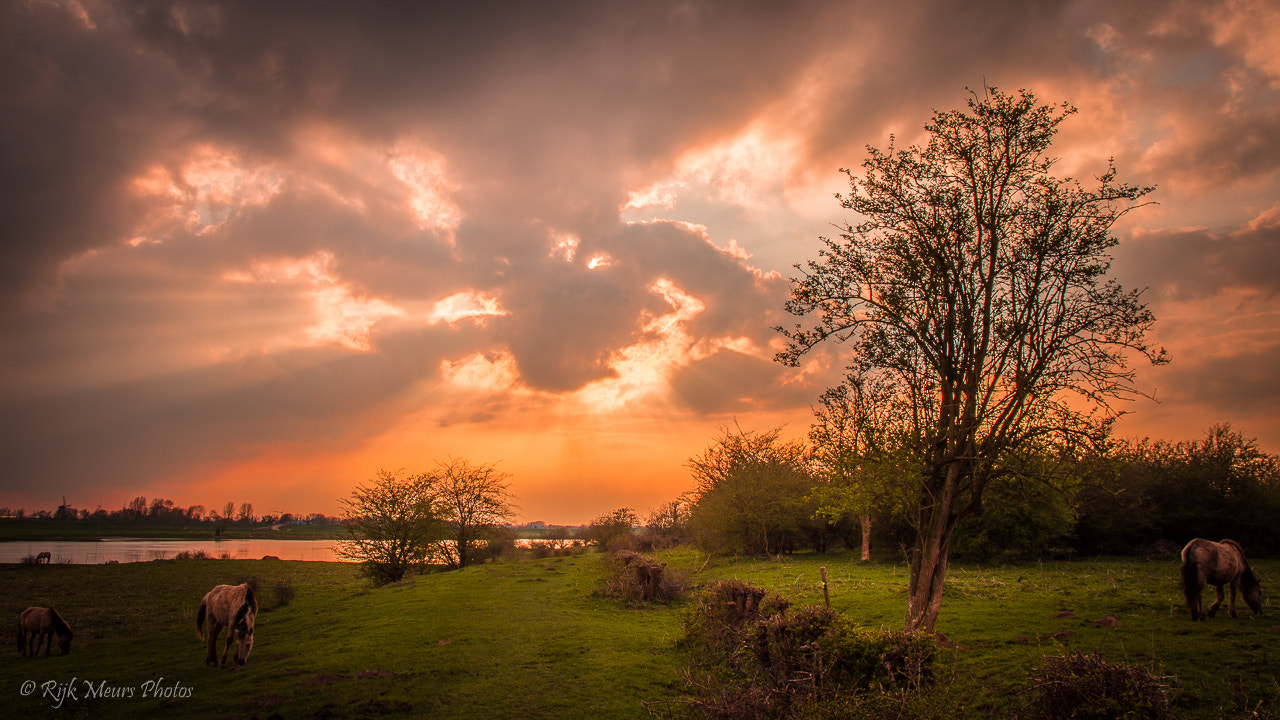 Nikon D7200 + Sigma 17-70mm F2.8-4 DC Macro OS HSM | C sample photo. De blauwe kamer photography