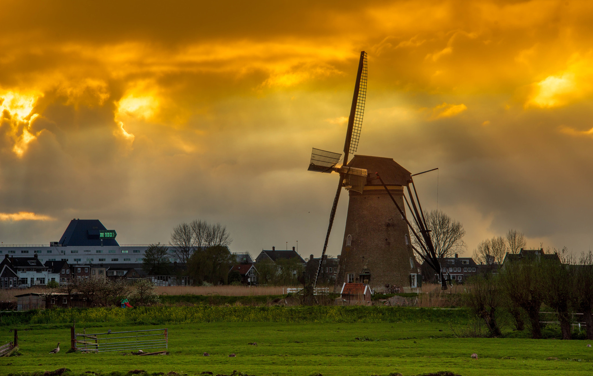 Sigma 70-200mm F2.8 EX DG OS HSM sample photo. Windmill photography